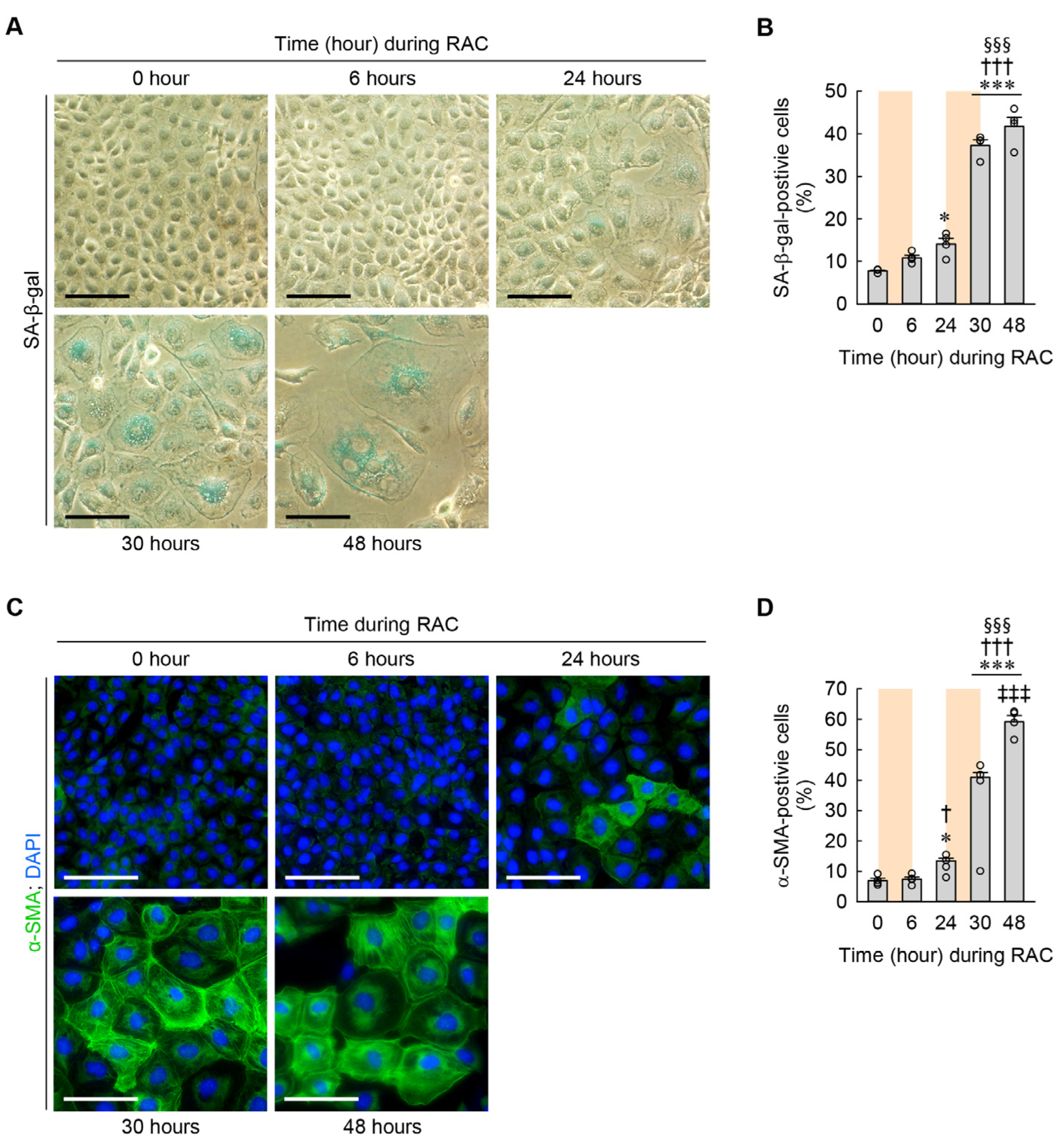 Cells 13 01475 g005 Cells 13 01475 g005