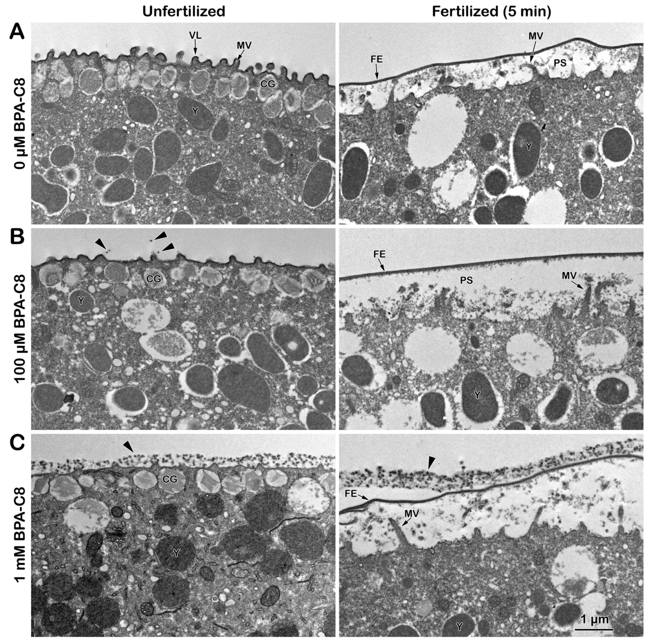 Cells 13 01477 g001 Cells 13 01477 g001