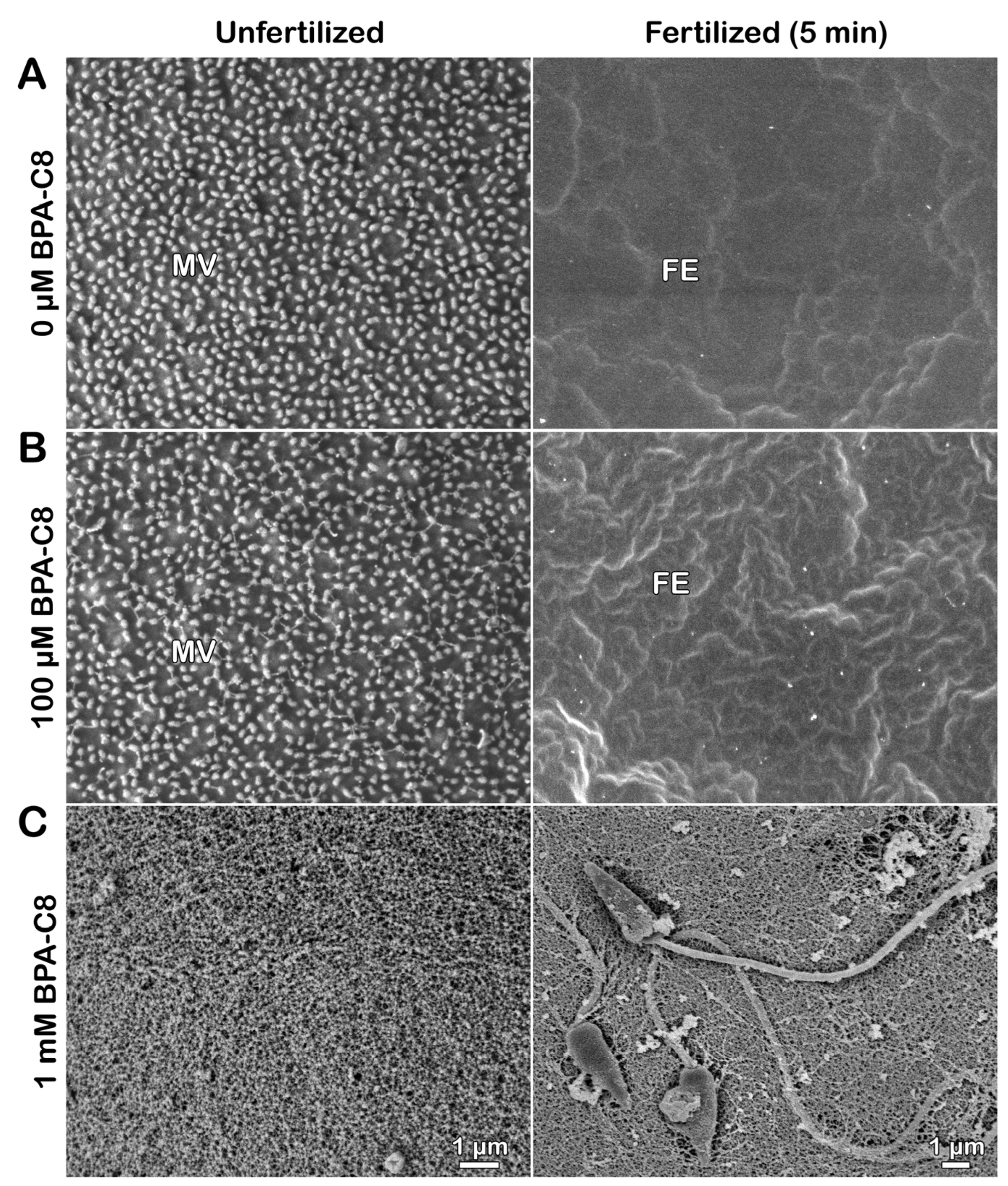 Cells 13 01477 g002 Cells 13 01477 g002
