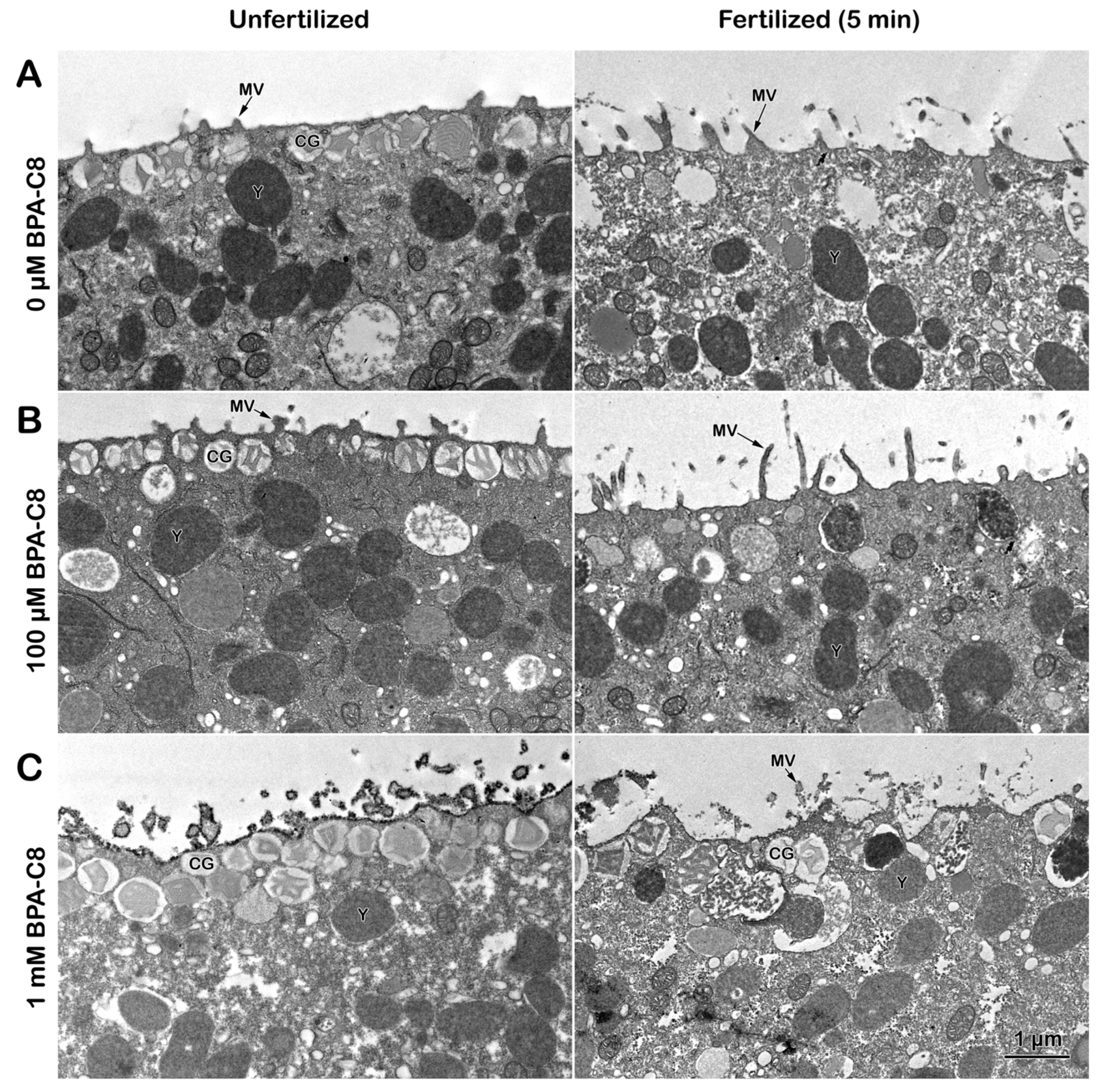 Cells 13 01477 g003 Cells 13 01477 g003