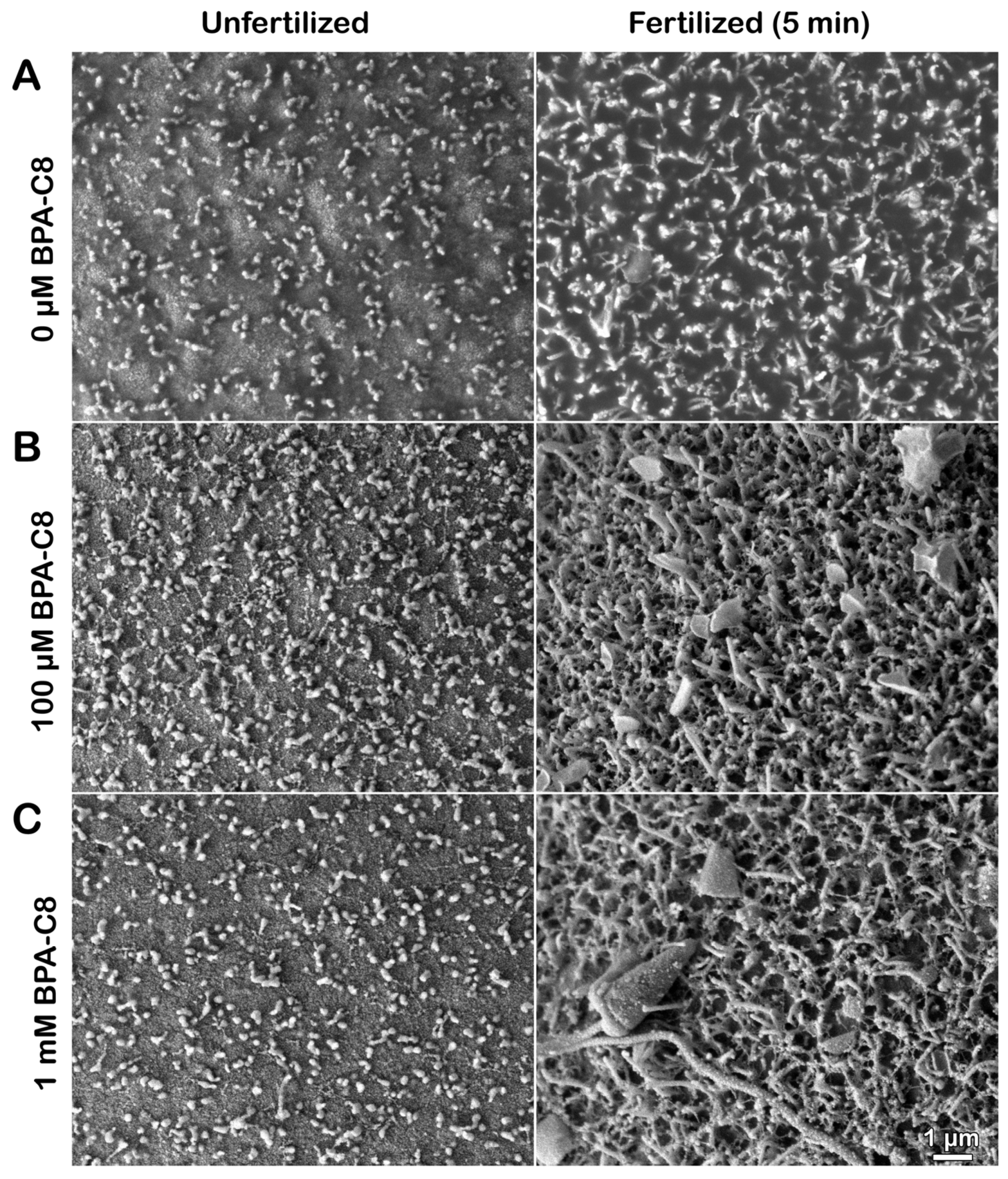 Cells 13 01477 g004 Cells 13 01477 g004
