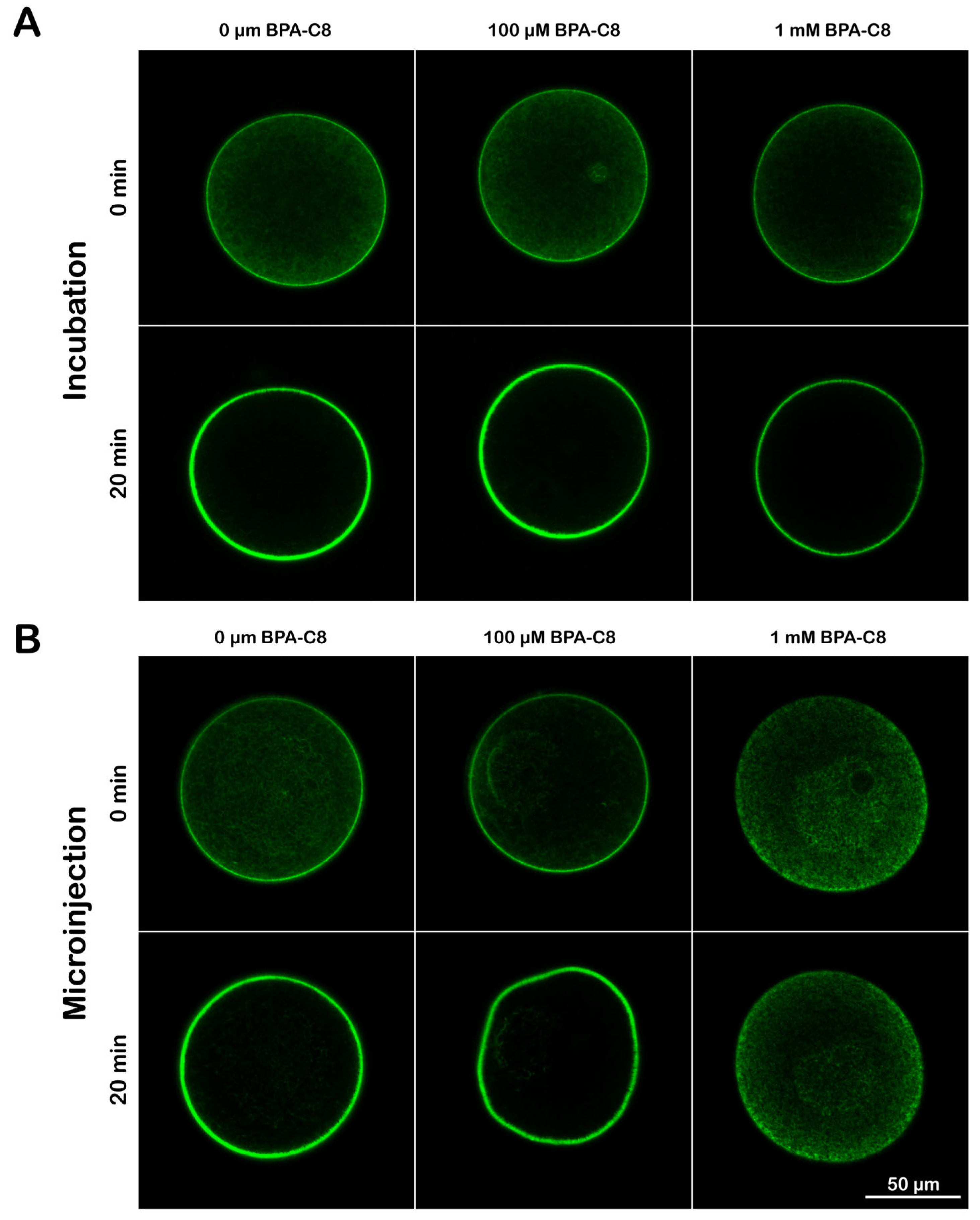 Cells 13 01477 g006 Cells 13 01477 g006