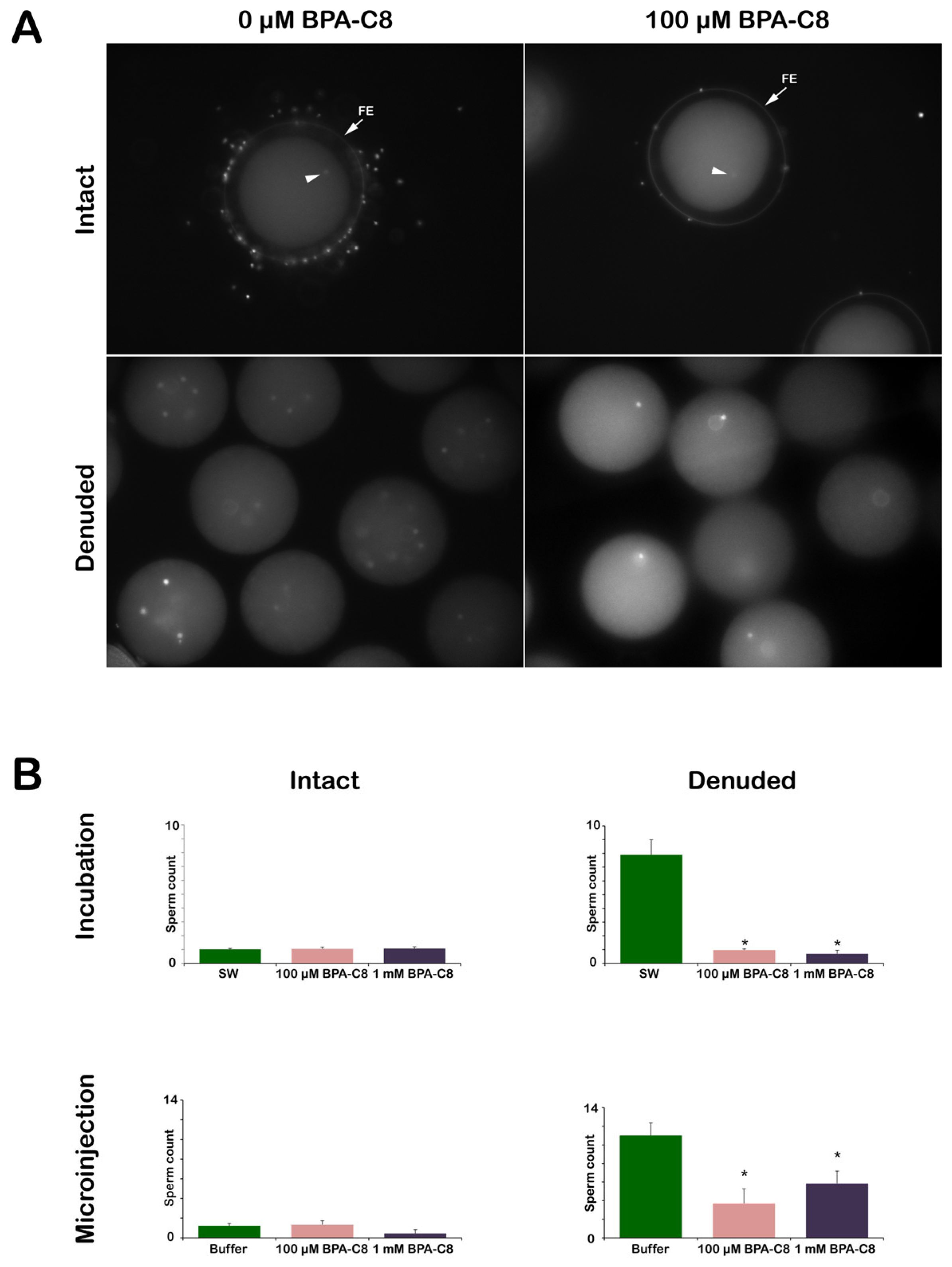 Cells 13 01477 g007 Cells 13 01477 g007