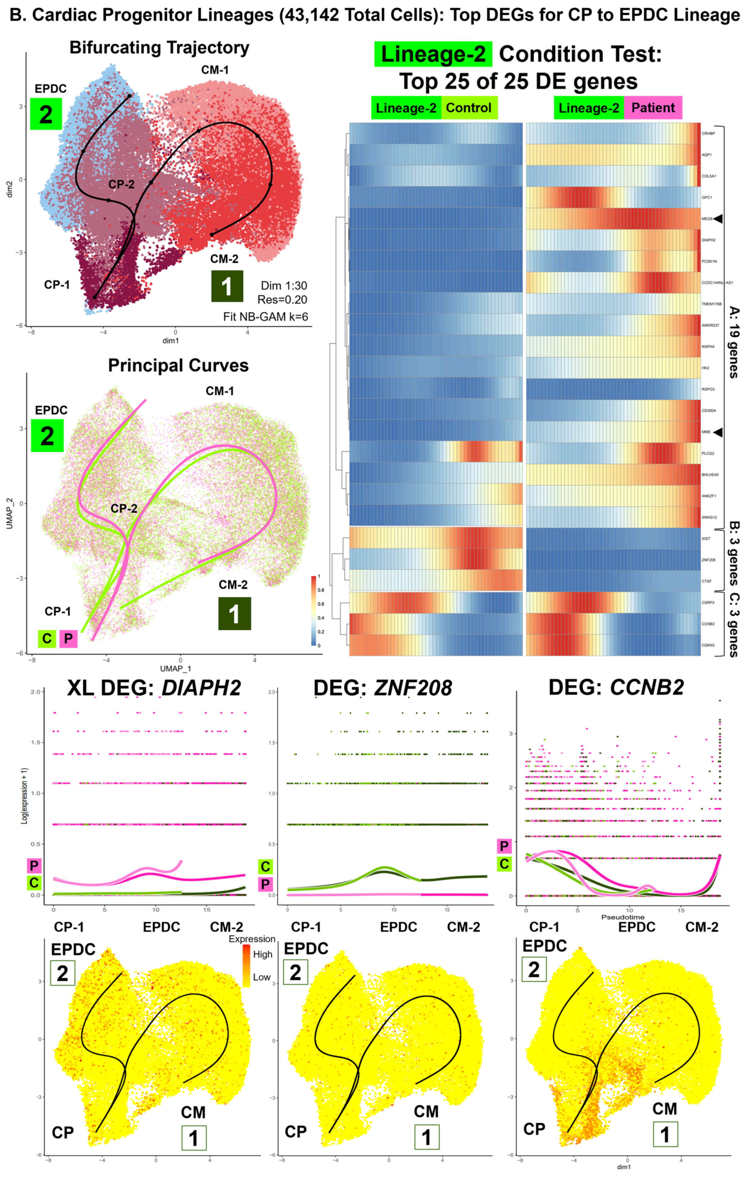 Cells 13 01479 g006b