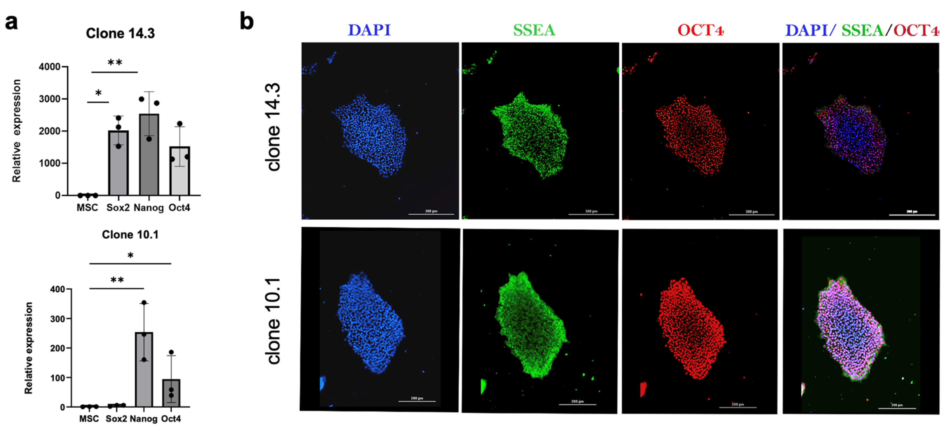 Cells 13 01482 g002 Cells 13 01482 g002