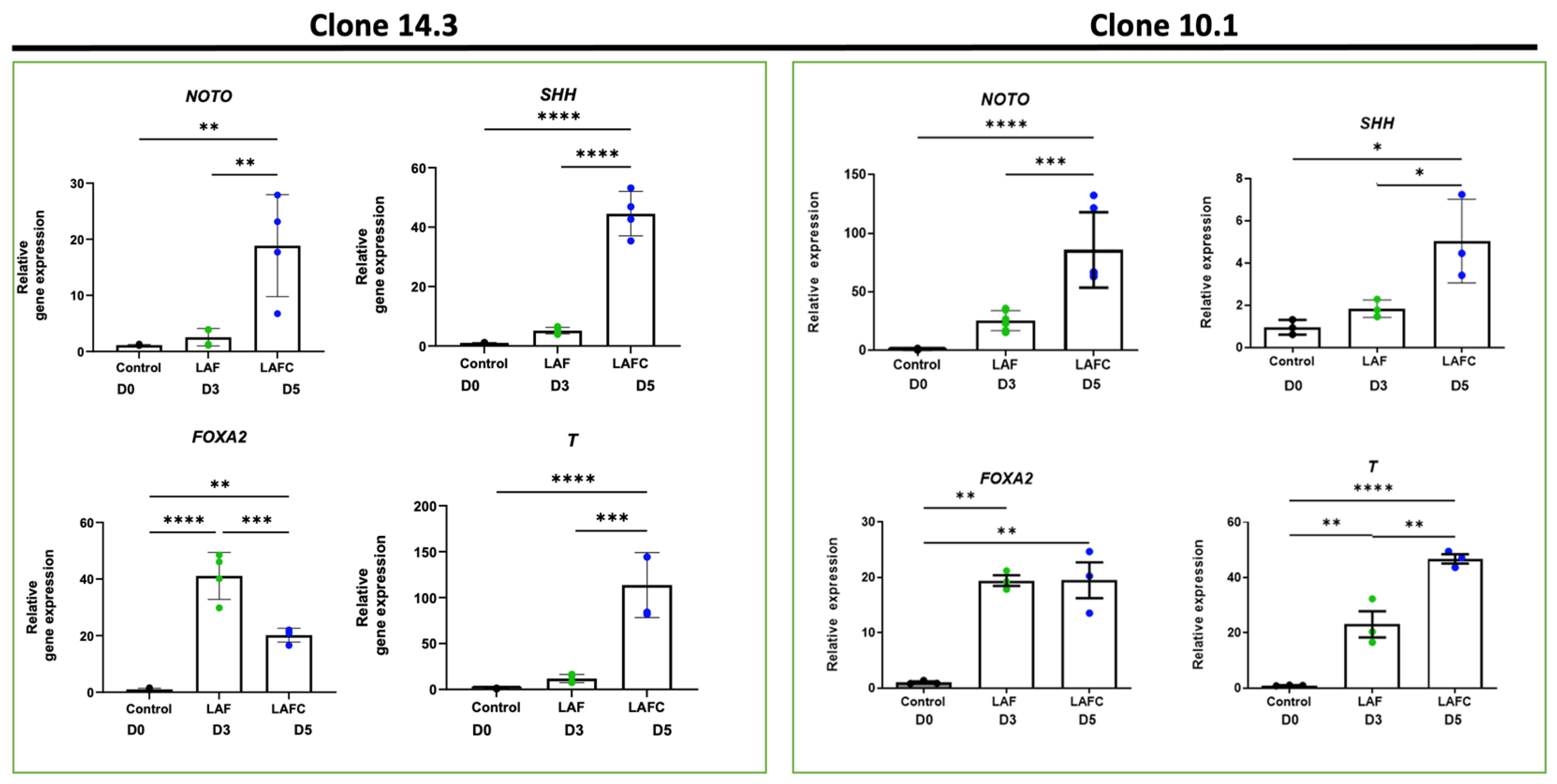 Cells 13 01482 g004 Cells 13 01482 g004