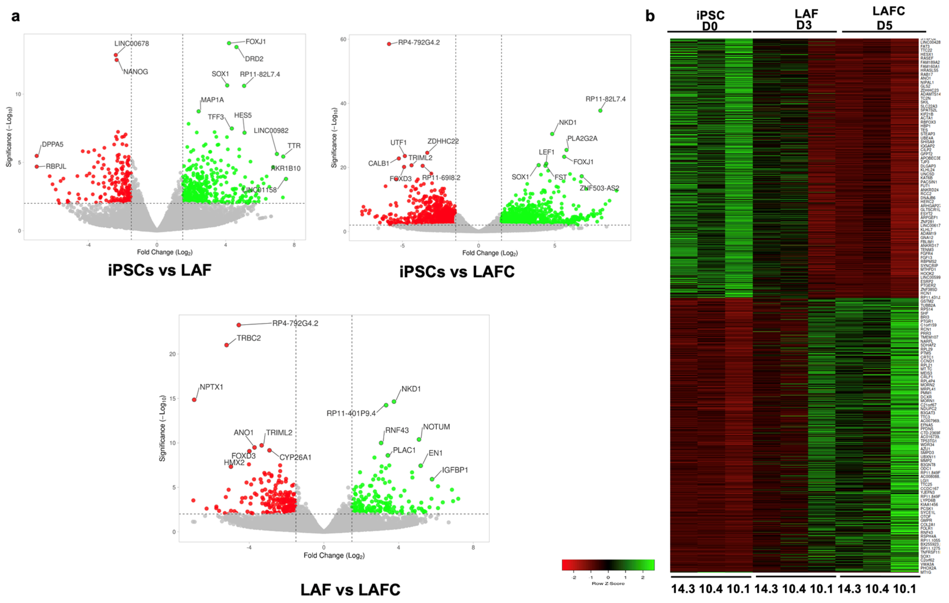 Cells 13 01482 g005 Cells 13 01482 g005