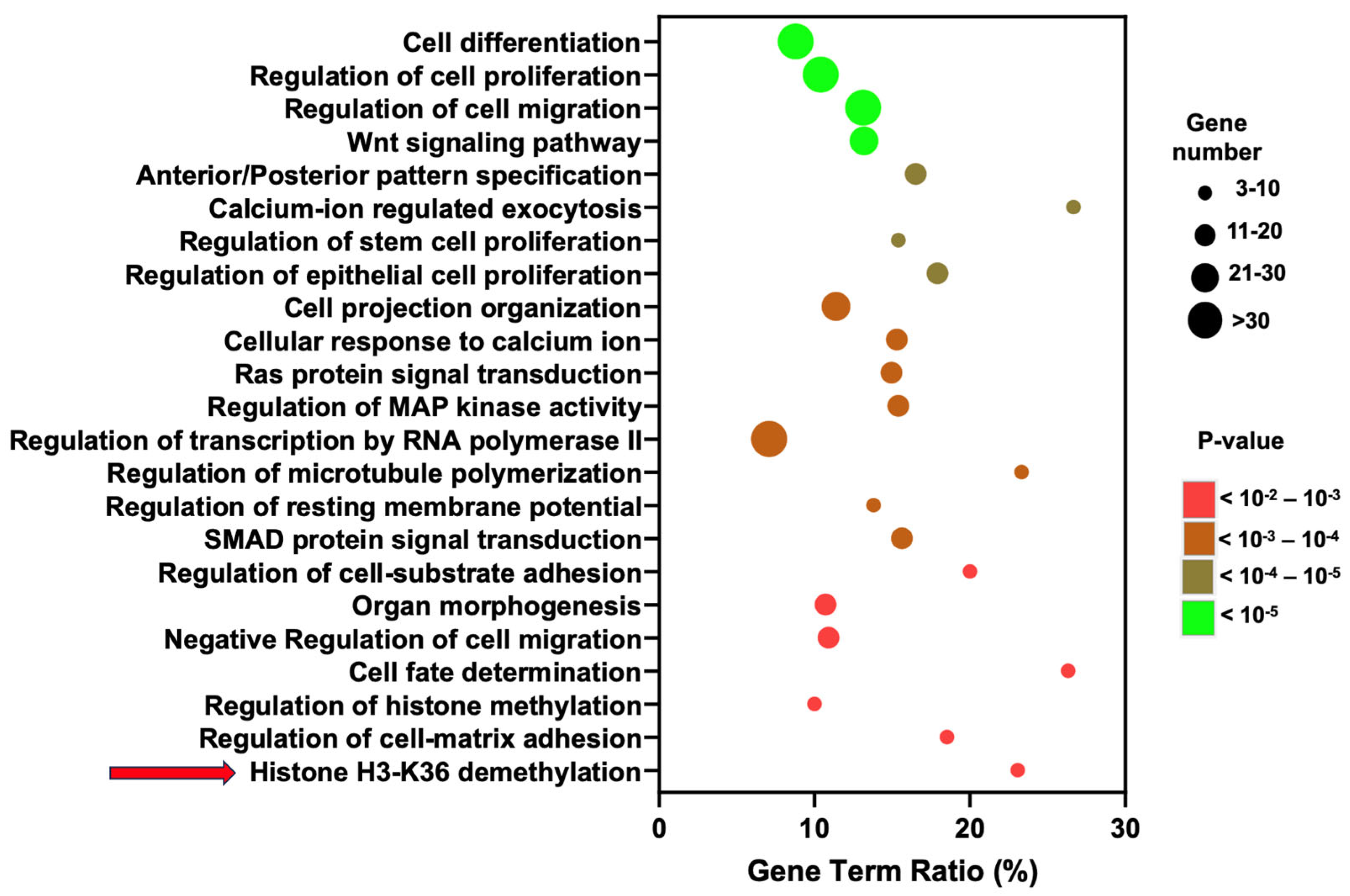 Cells 13 01482 g006 Cells 13 01482 g006