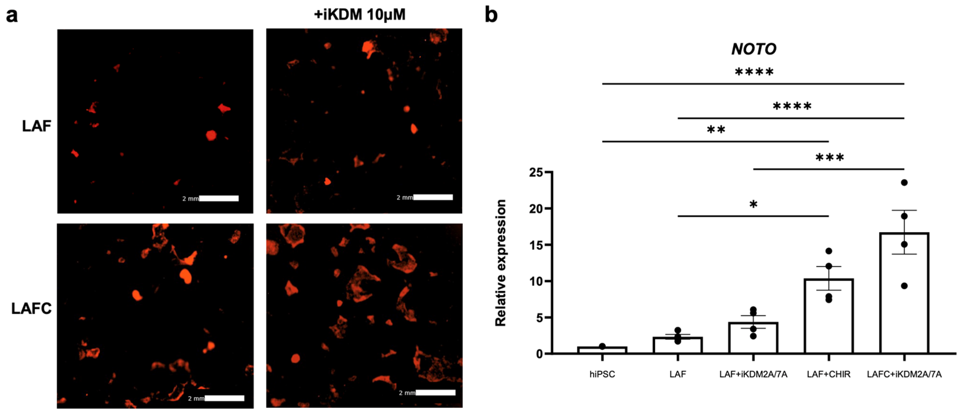 Cells 13 01482 g008 Cells 13 01482 g008