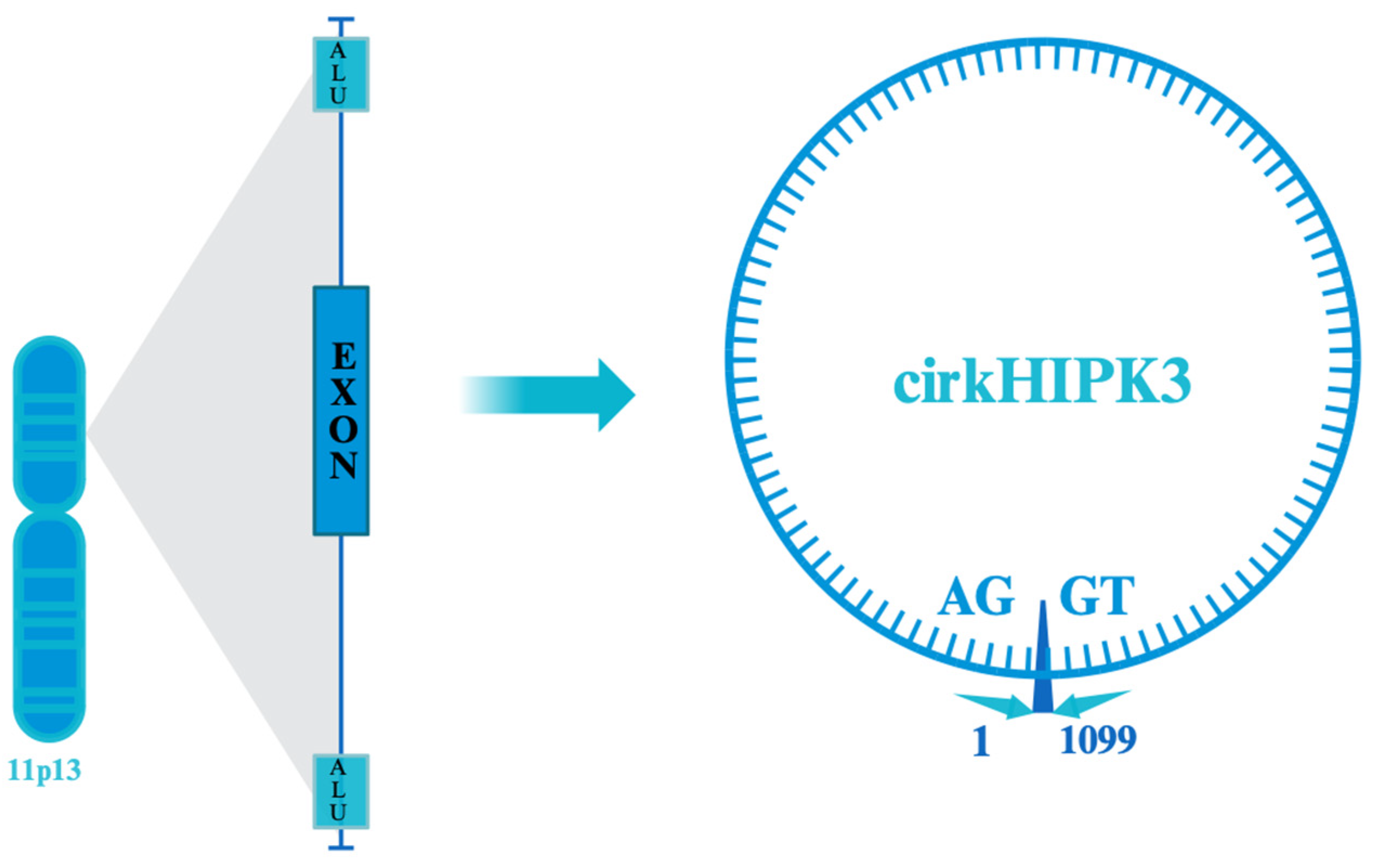 Cells 13 01483 g002 Cells 13 01483 g002