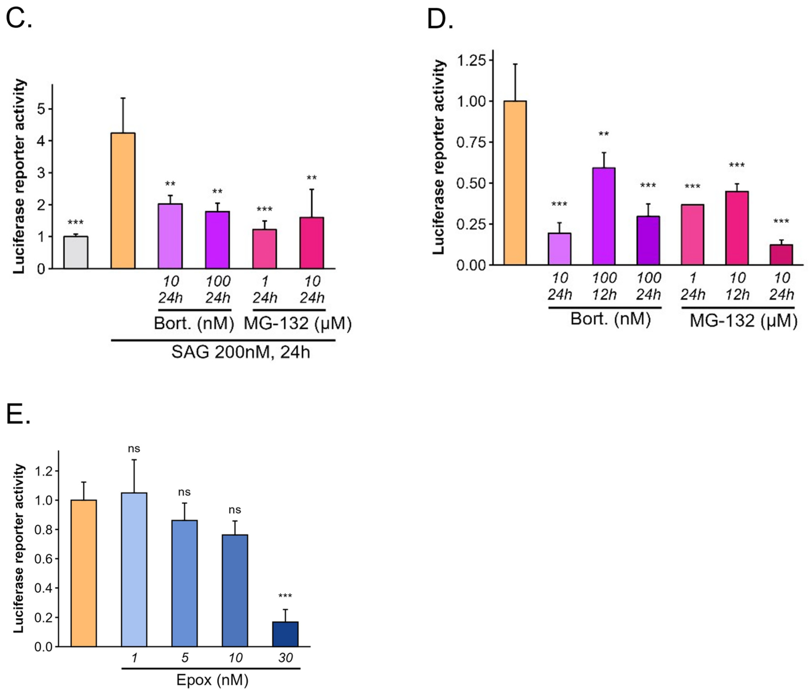 Cells 13 01496 g001b Cells 13 01496 g001b