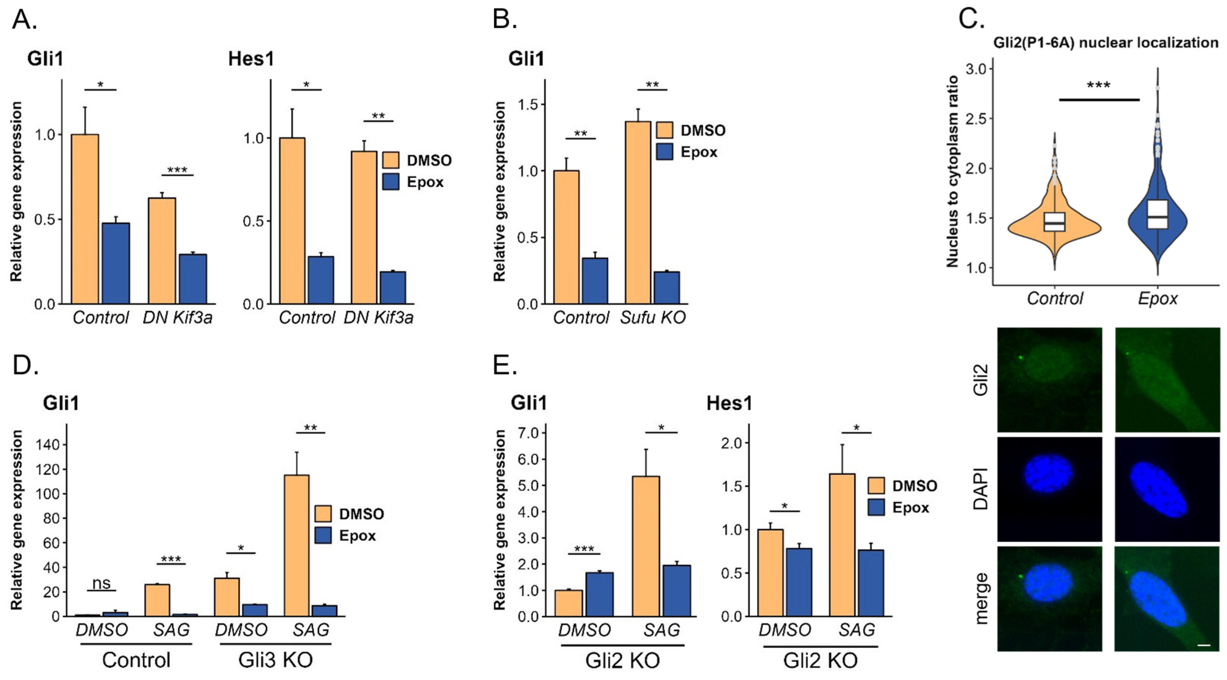 Cells 13 01496 g002a Cells 13 01496 g002a