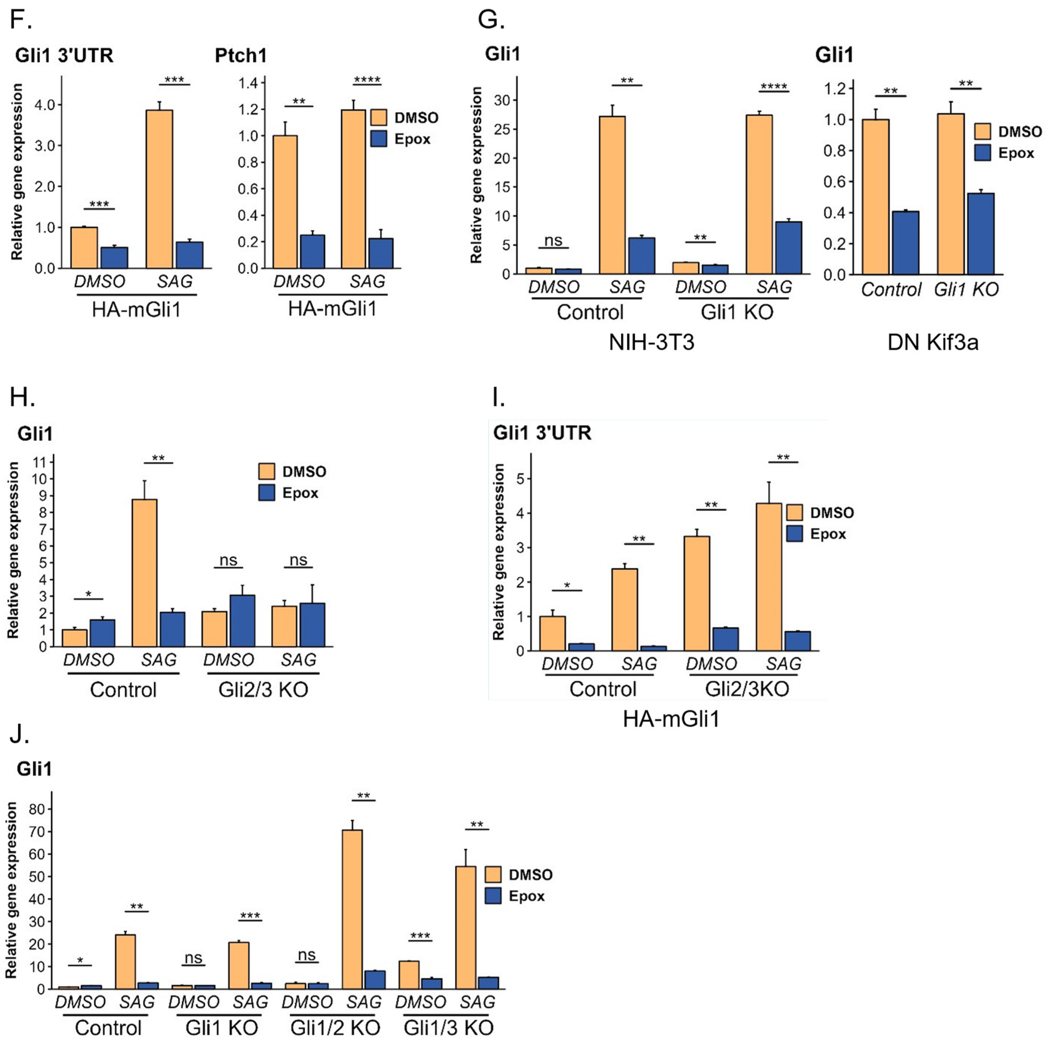 Cells 13 01496 g002b Cells 13 01496 g002b