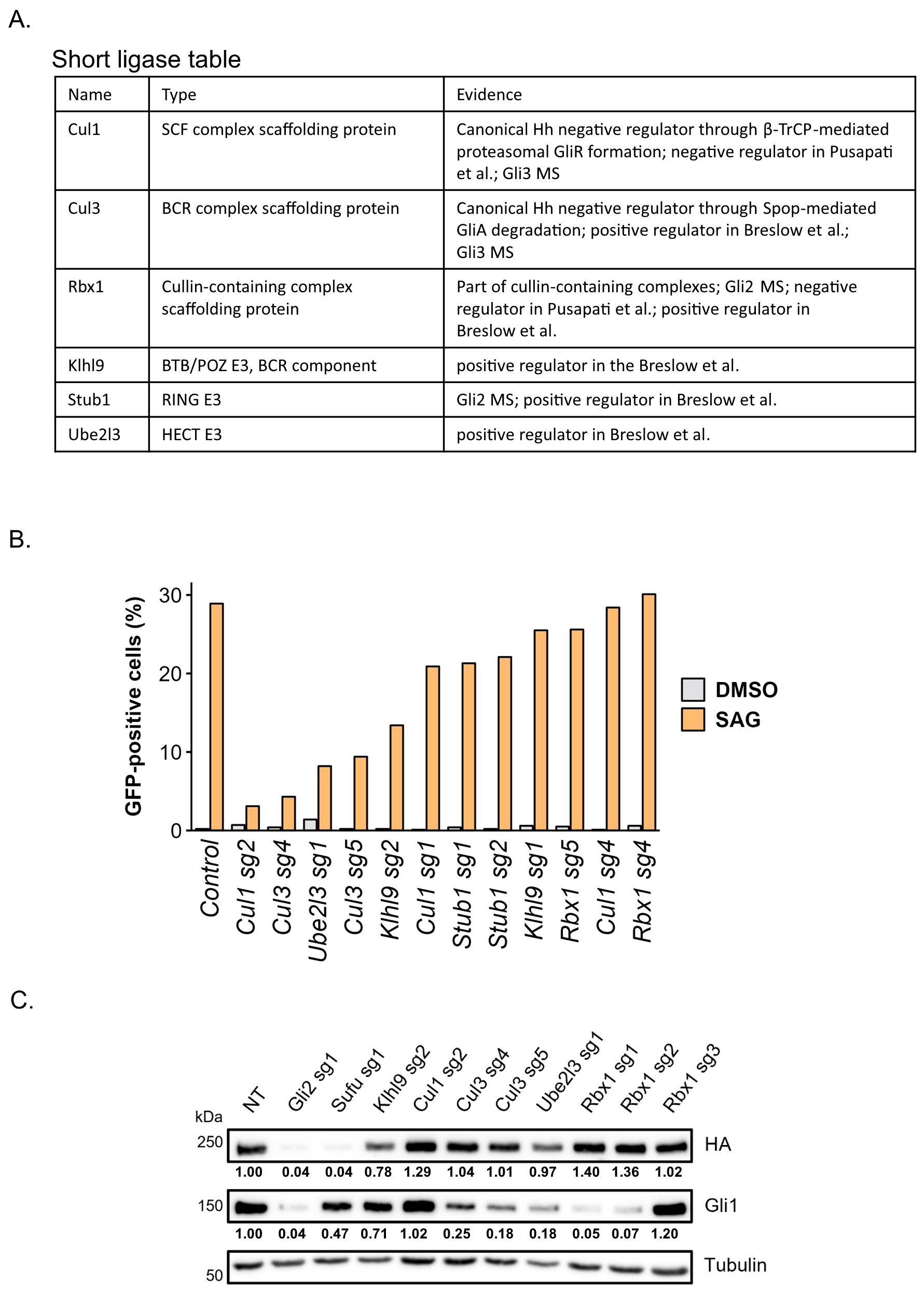 Cells 13 01496 g003 Cells 13 01496 g003