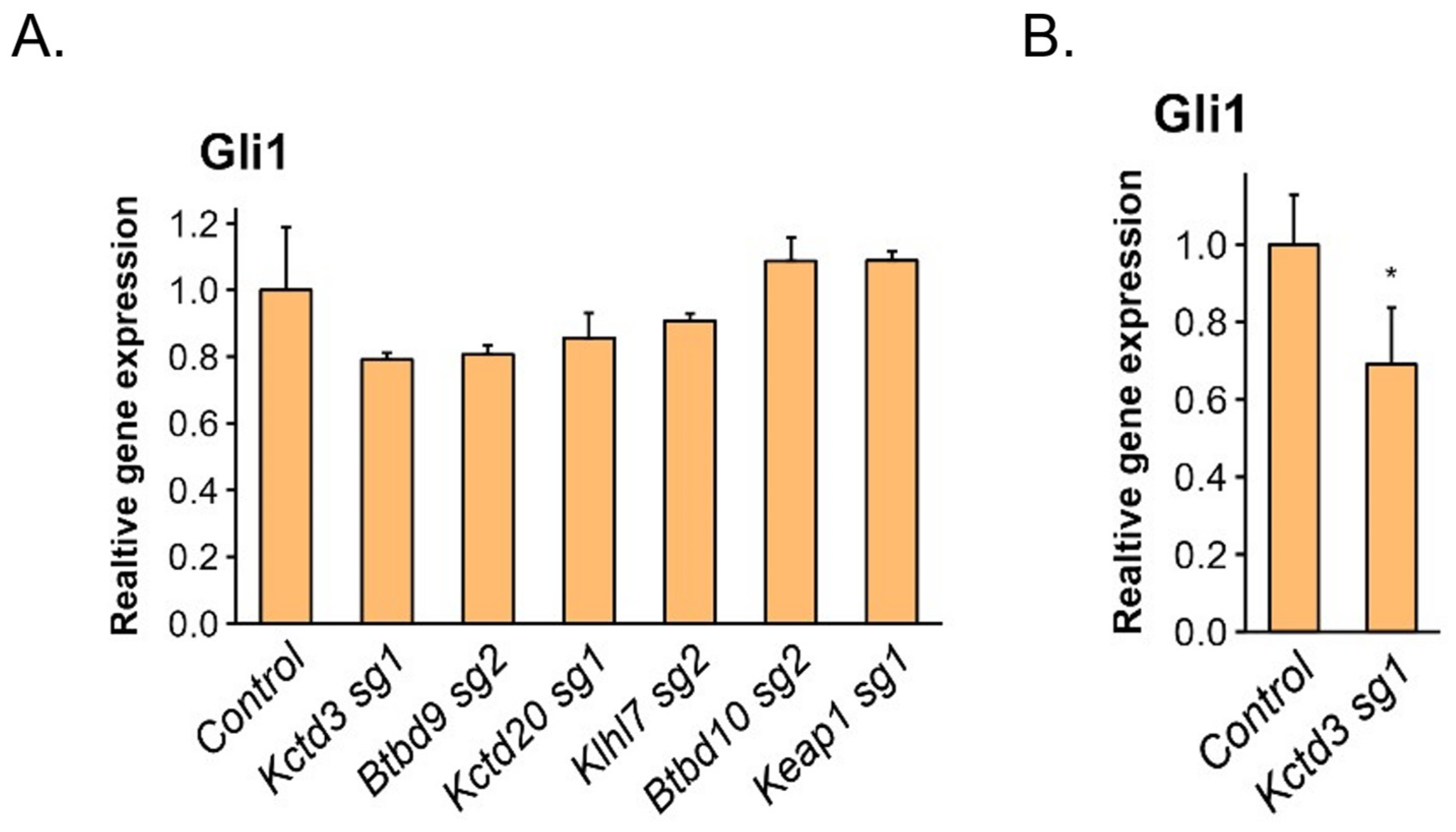 Cells 13 01496 g005a Cells 13 01496 g005a