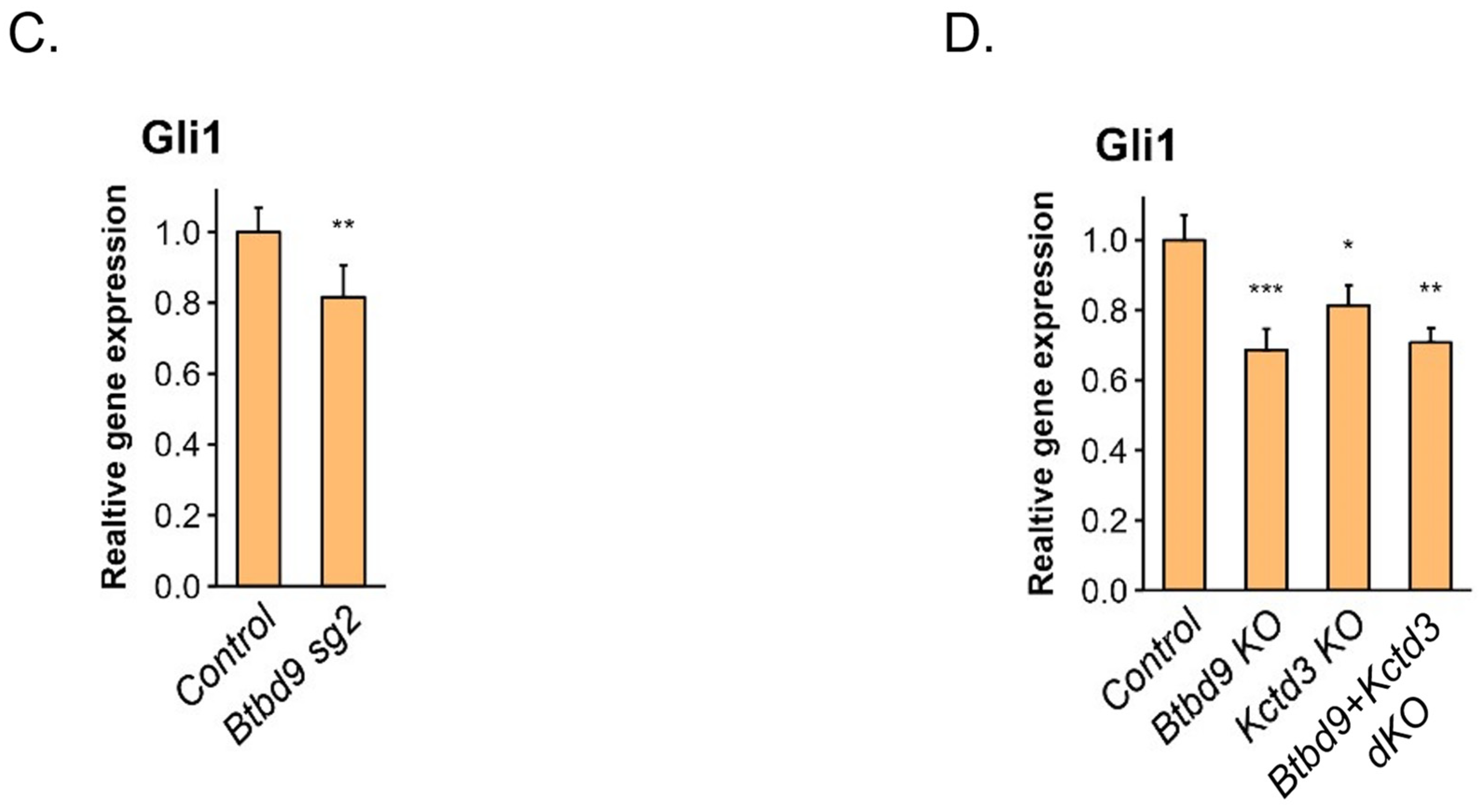 Cells 13 01496 g005b Cells 13 01496 g005b