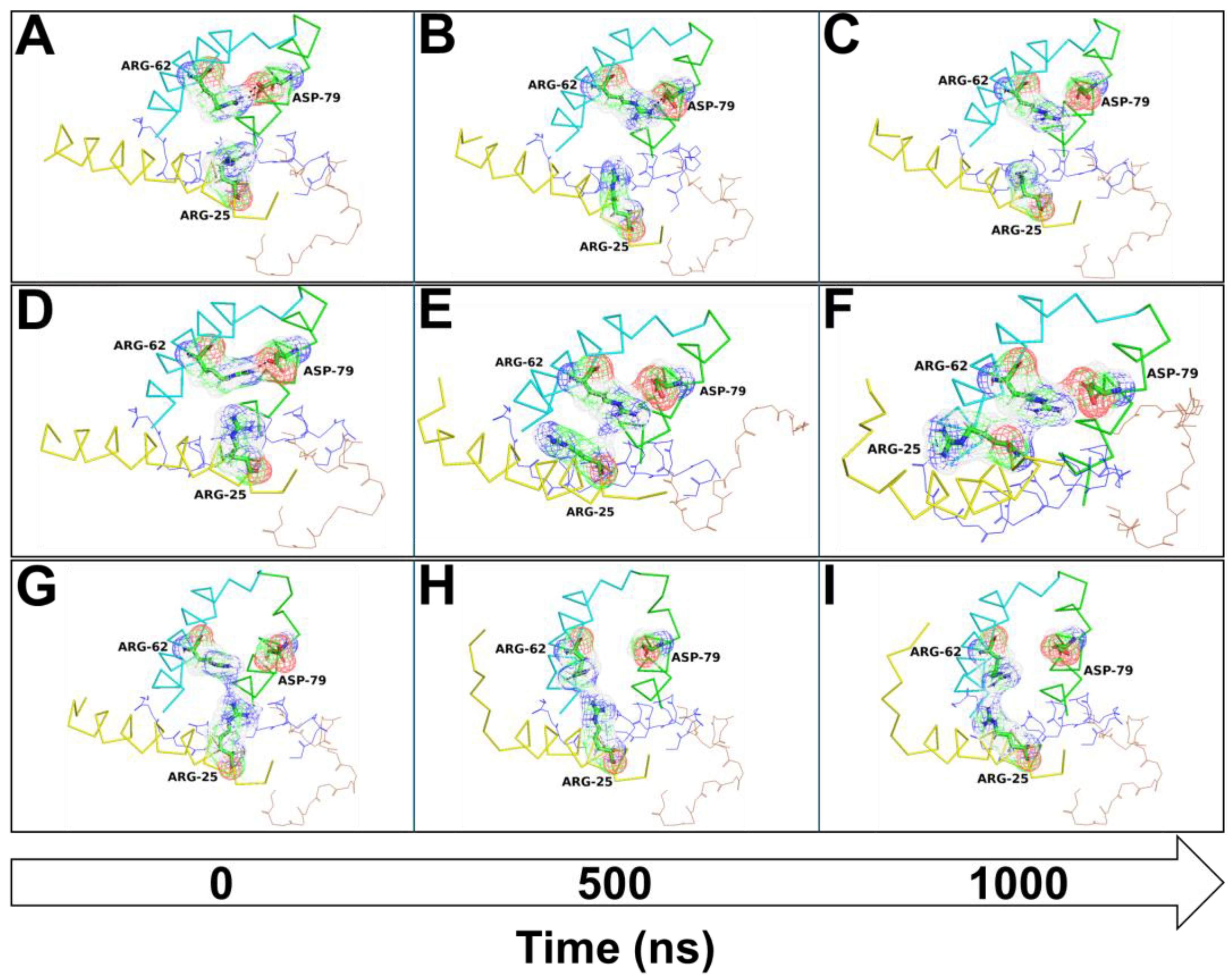 Cells 13 01501 g010 Cells 13 01501 g010