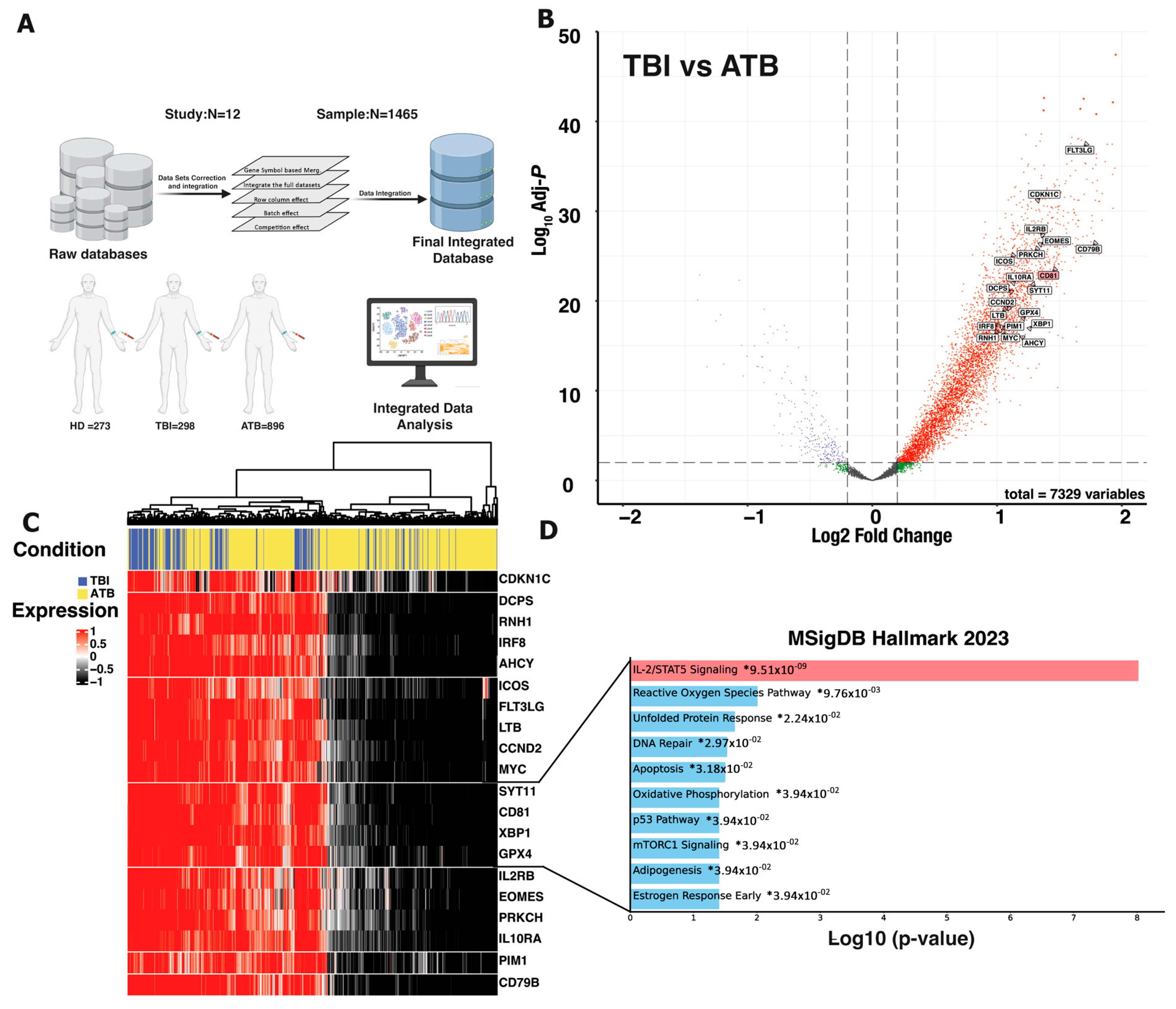 Cells 13 01529 g001 Cells 13 01529 g001