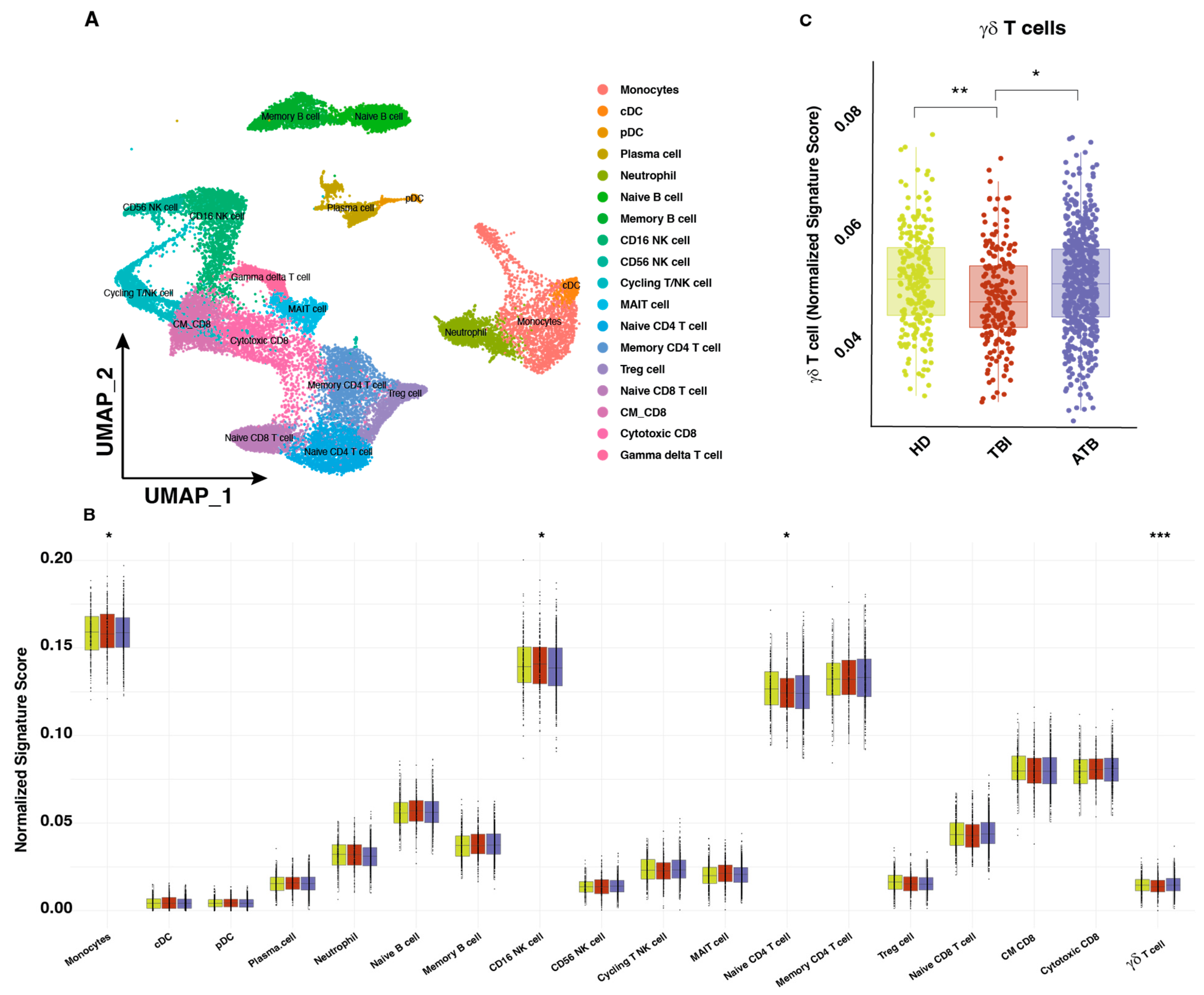 Cells 13 01529 g002 Cells 13 01529 g002