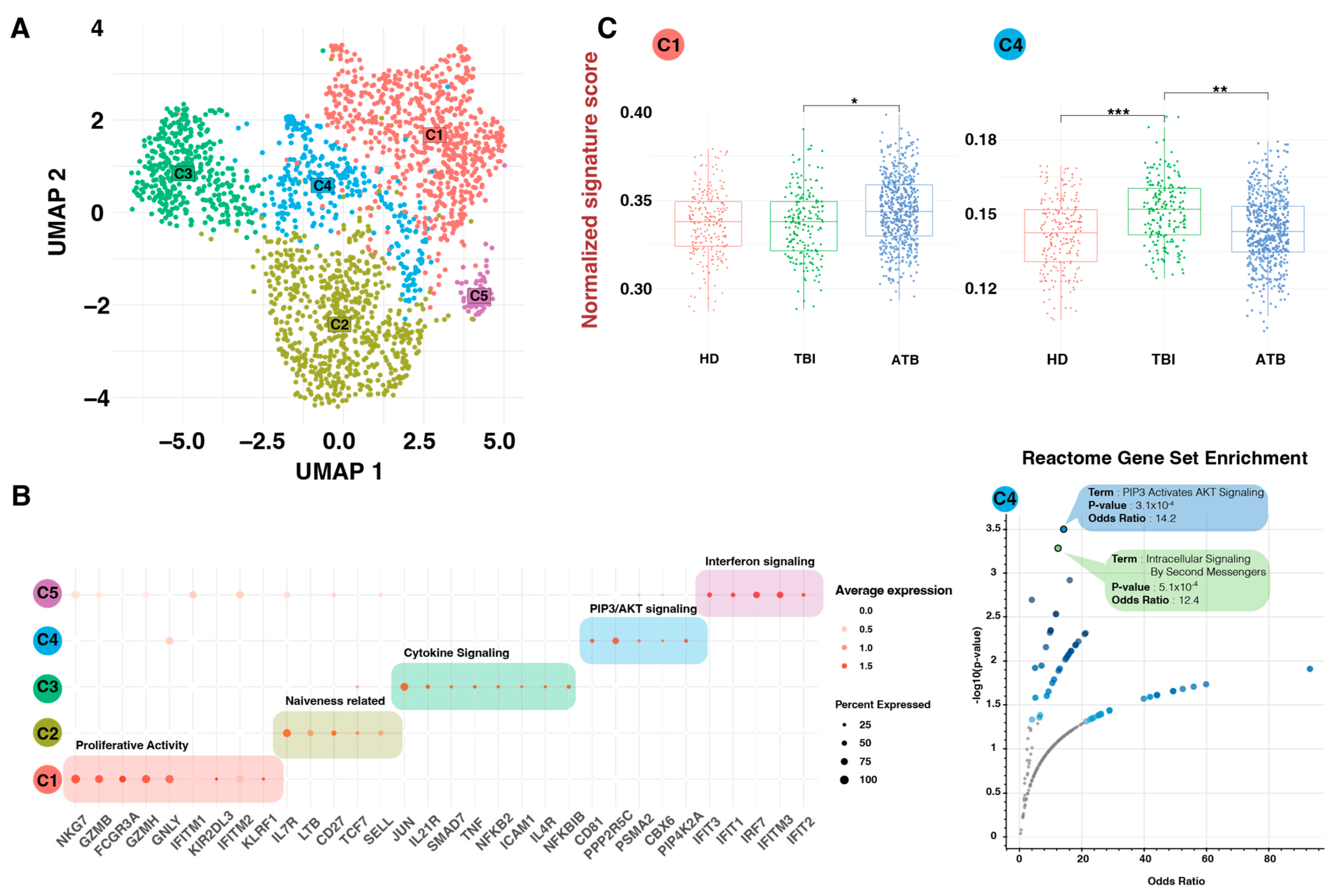 Cells 13 01529 g003 Cells 13 01529 g003