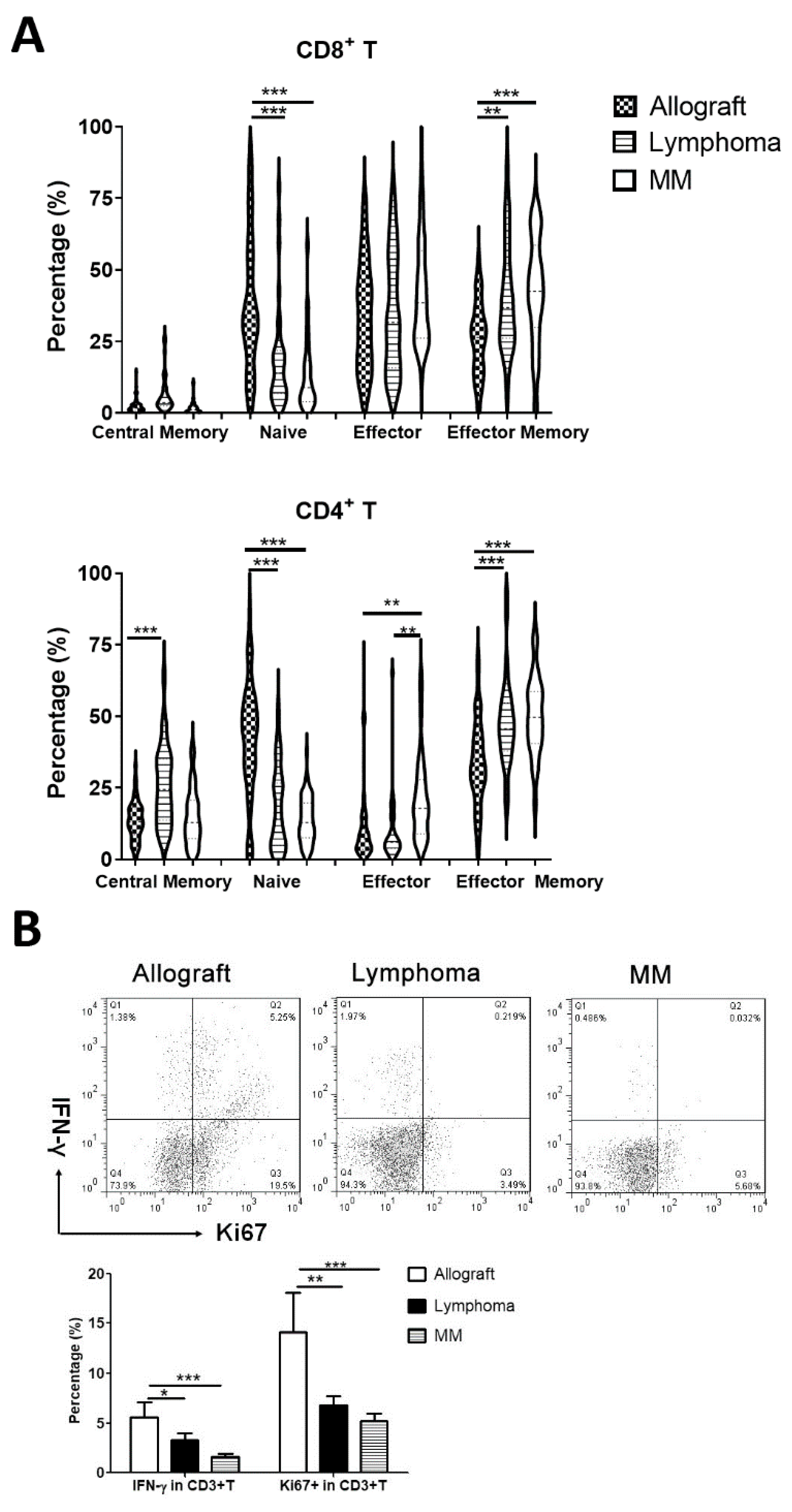 Cells 13 01545 g002a