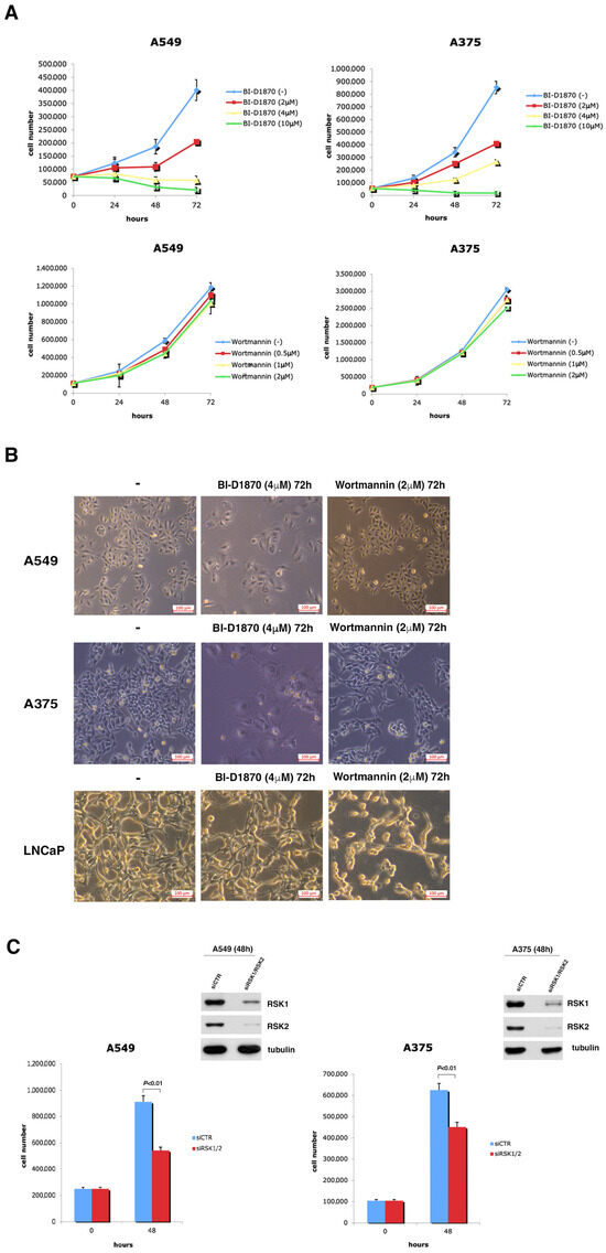 Targeting the p90RSK/MDM2/p53 Pathway Is Effective in Blocking Tumors ...