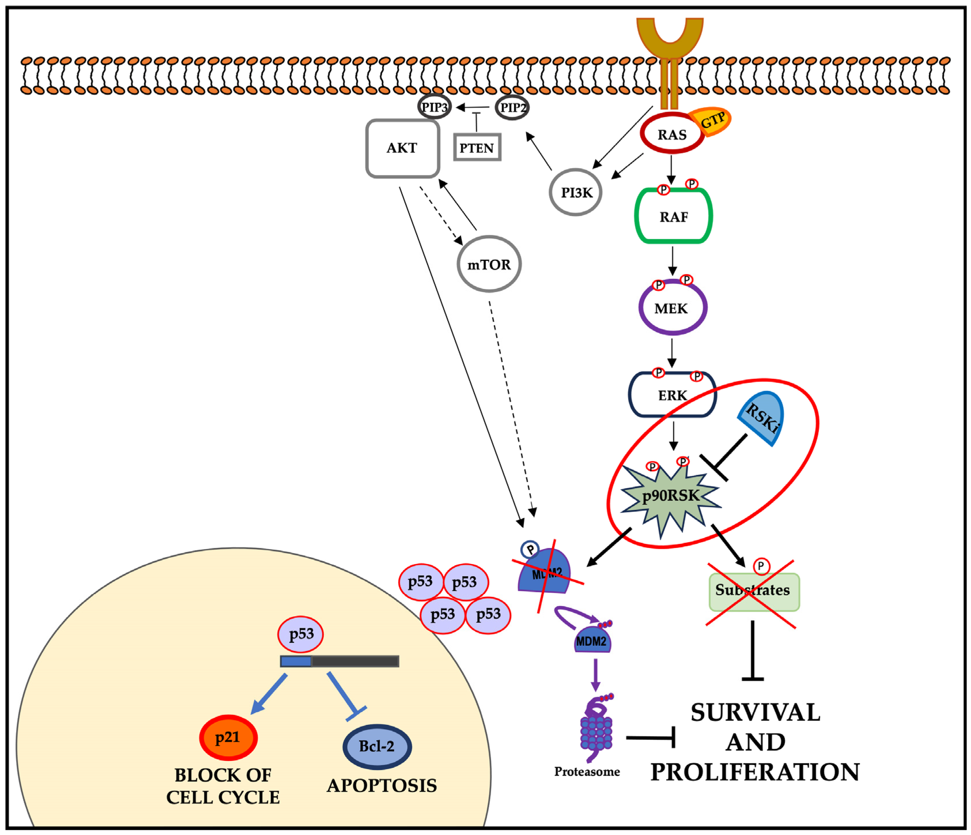 Cells 13 01546 g006 Cells 13 01546 g006