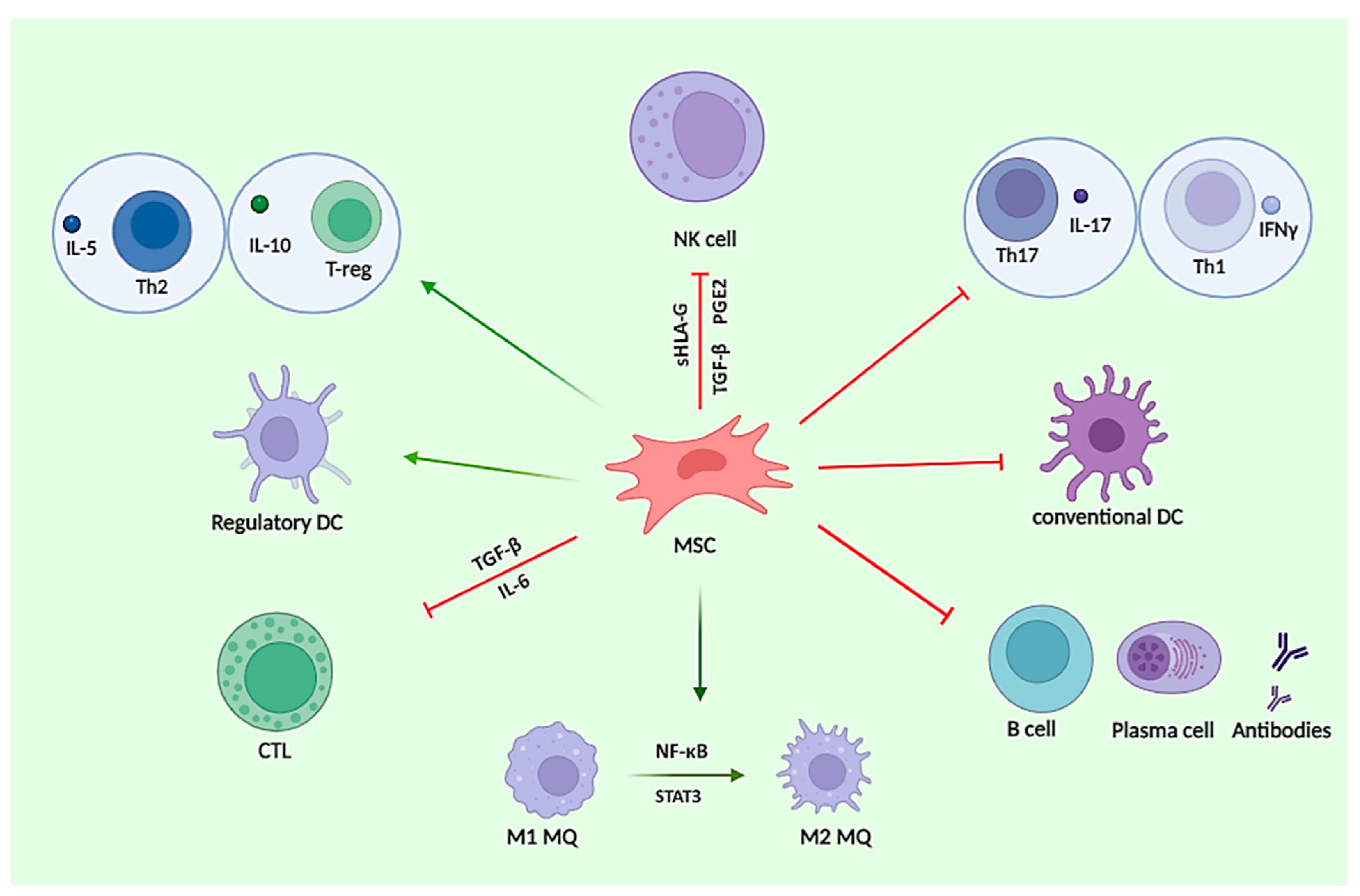 Cells 13 01556 g002 Cells 13 01556 g002