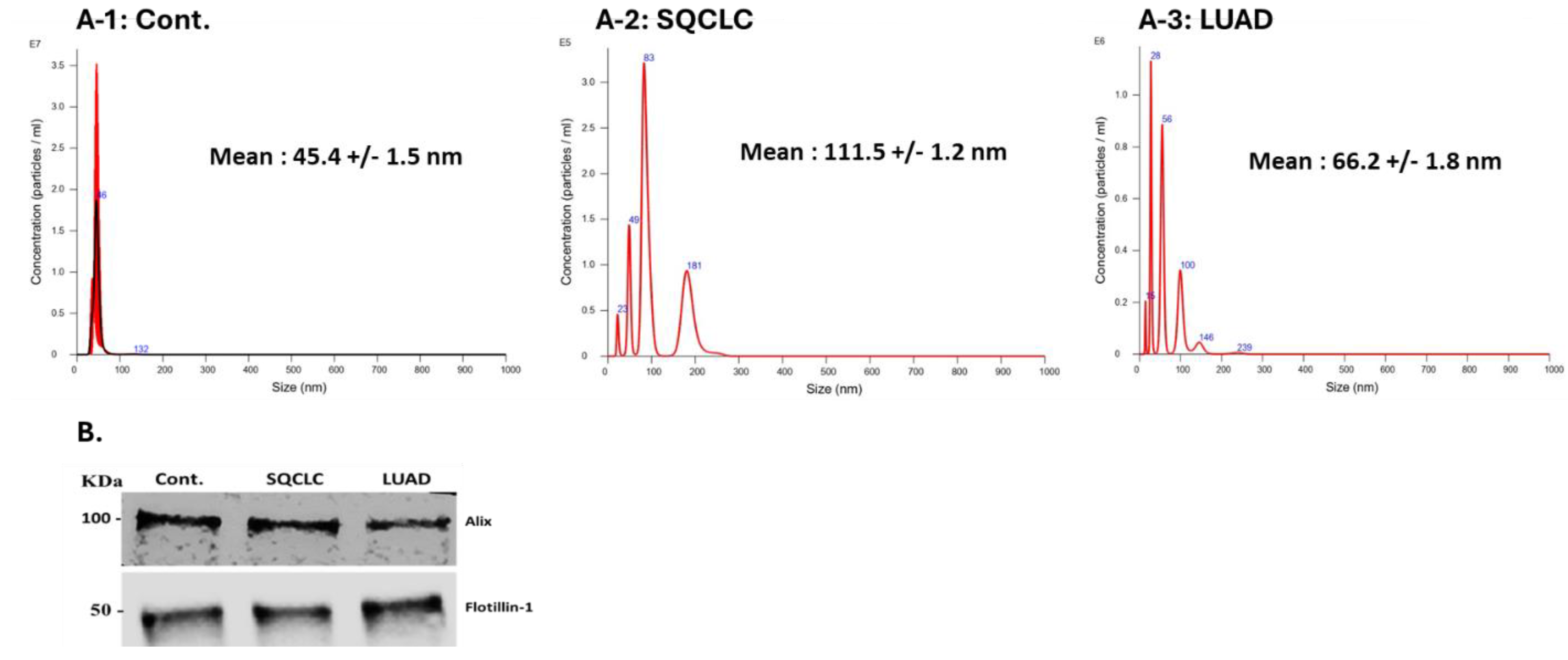 Cells 13 01562 g001 Cells 13 01562 g001