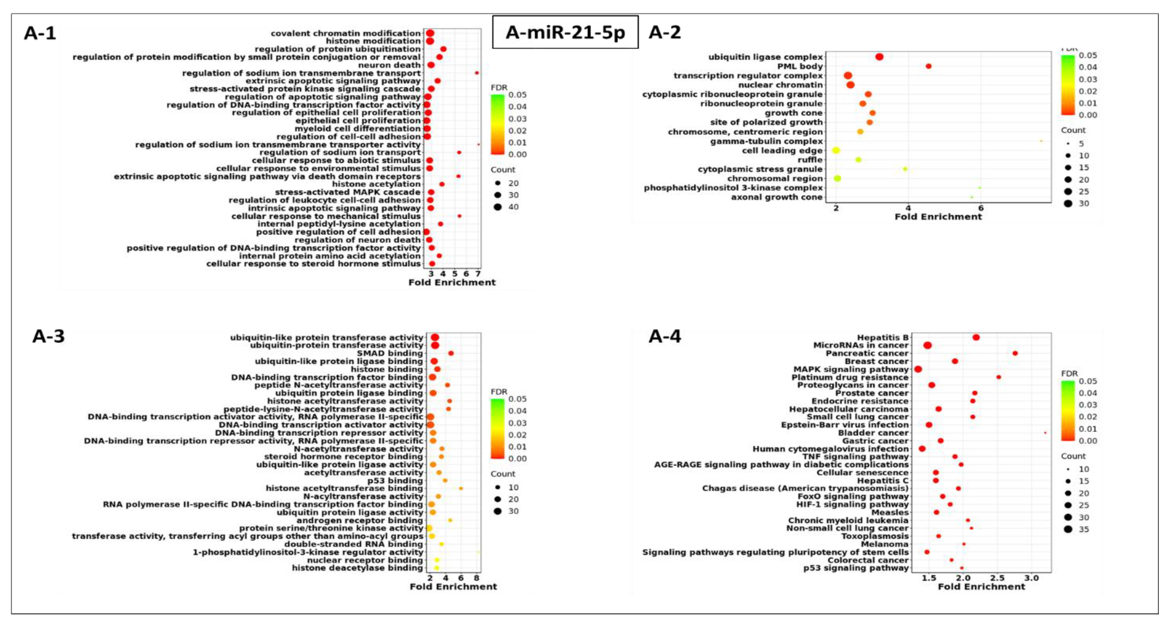 Cells 13 01562 g003a Cells 13 01562 g003a