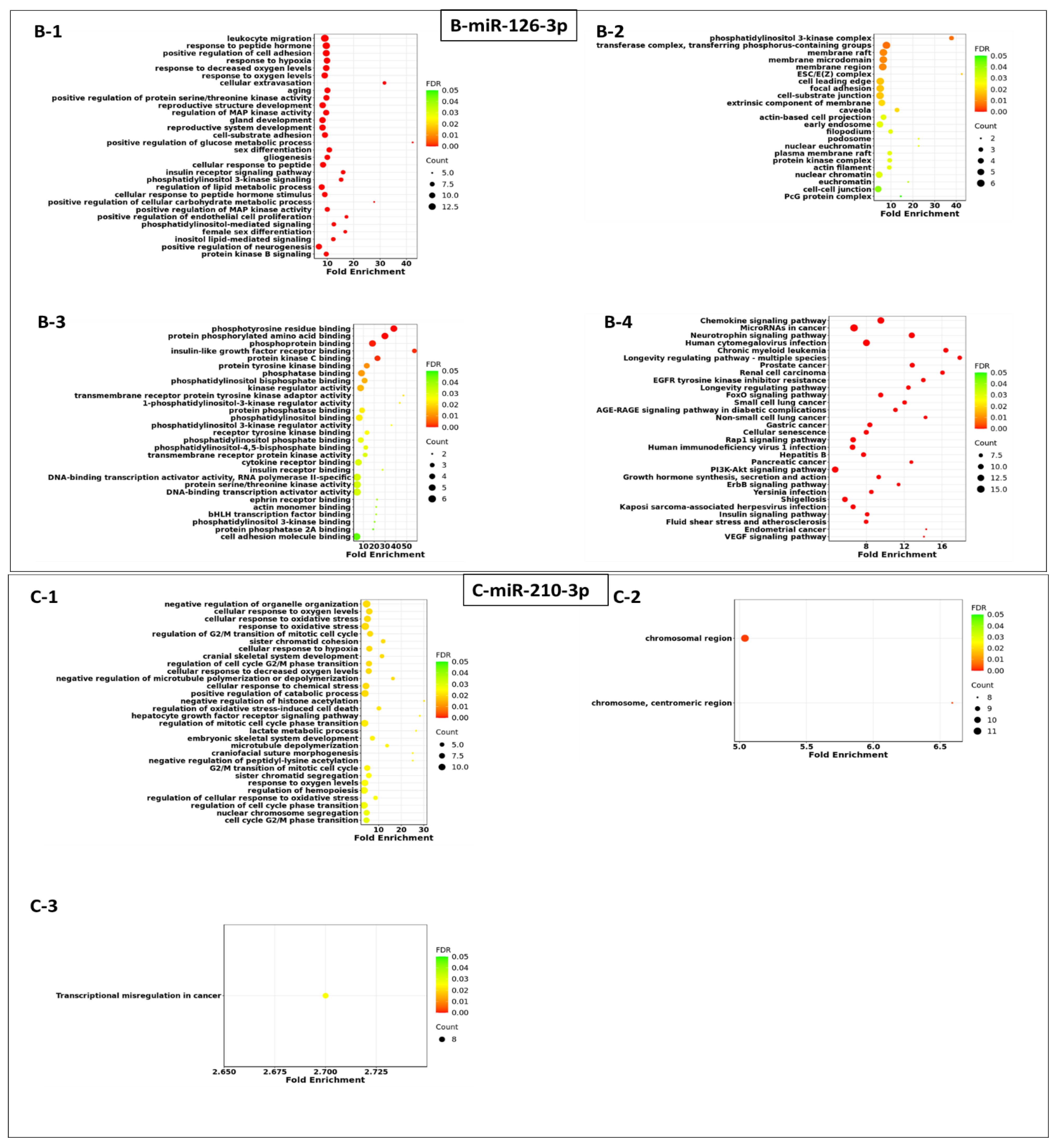 Cells 13 01562 g003b Cells 13 01562 g003b