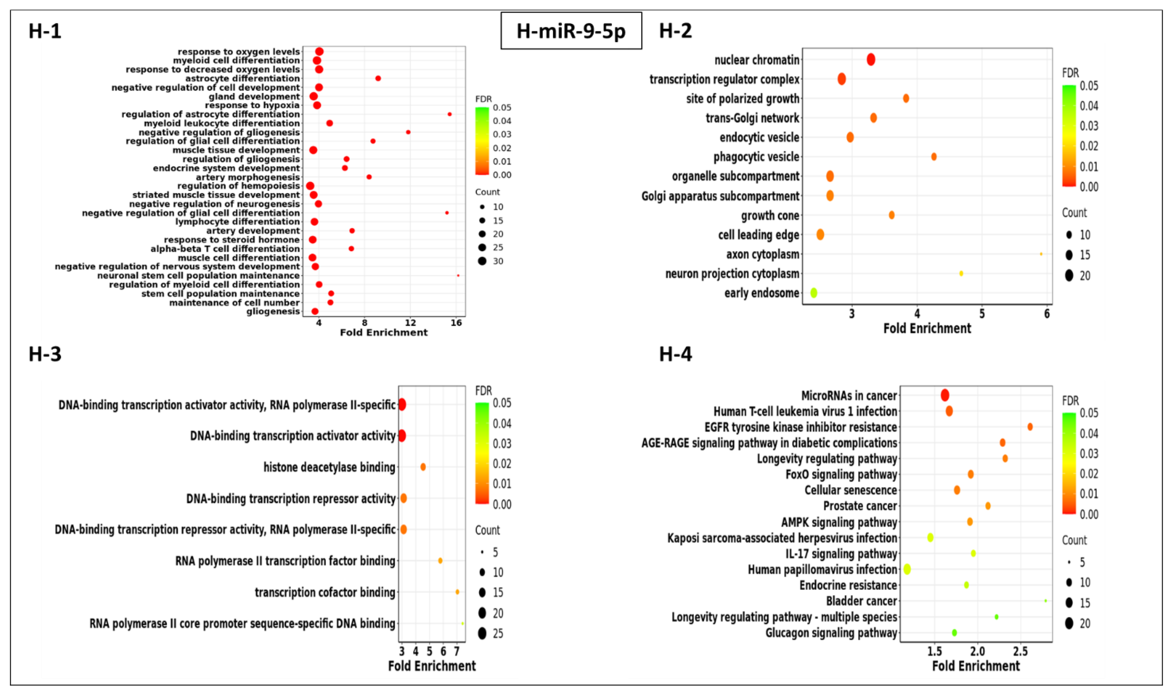 Cells 13 01562 g003e Cells 13 01562 g003e