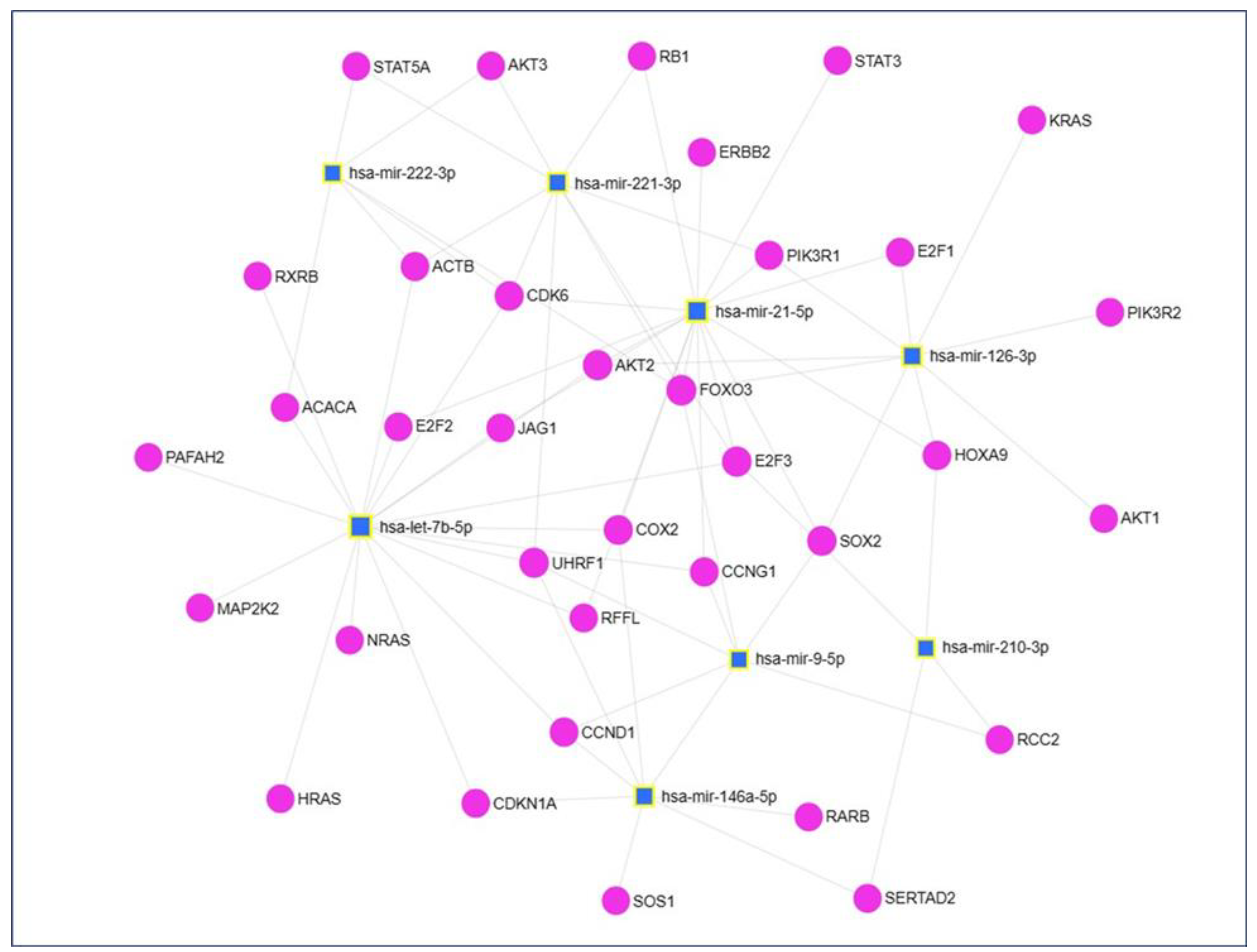 Cells 13 01562 g004 Cells 13 01562 g004