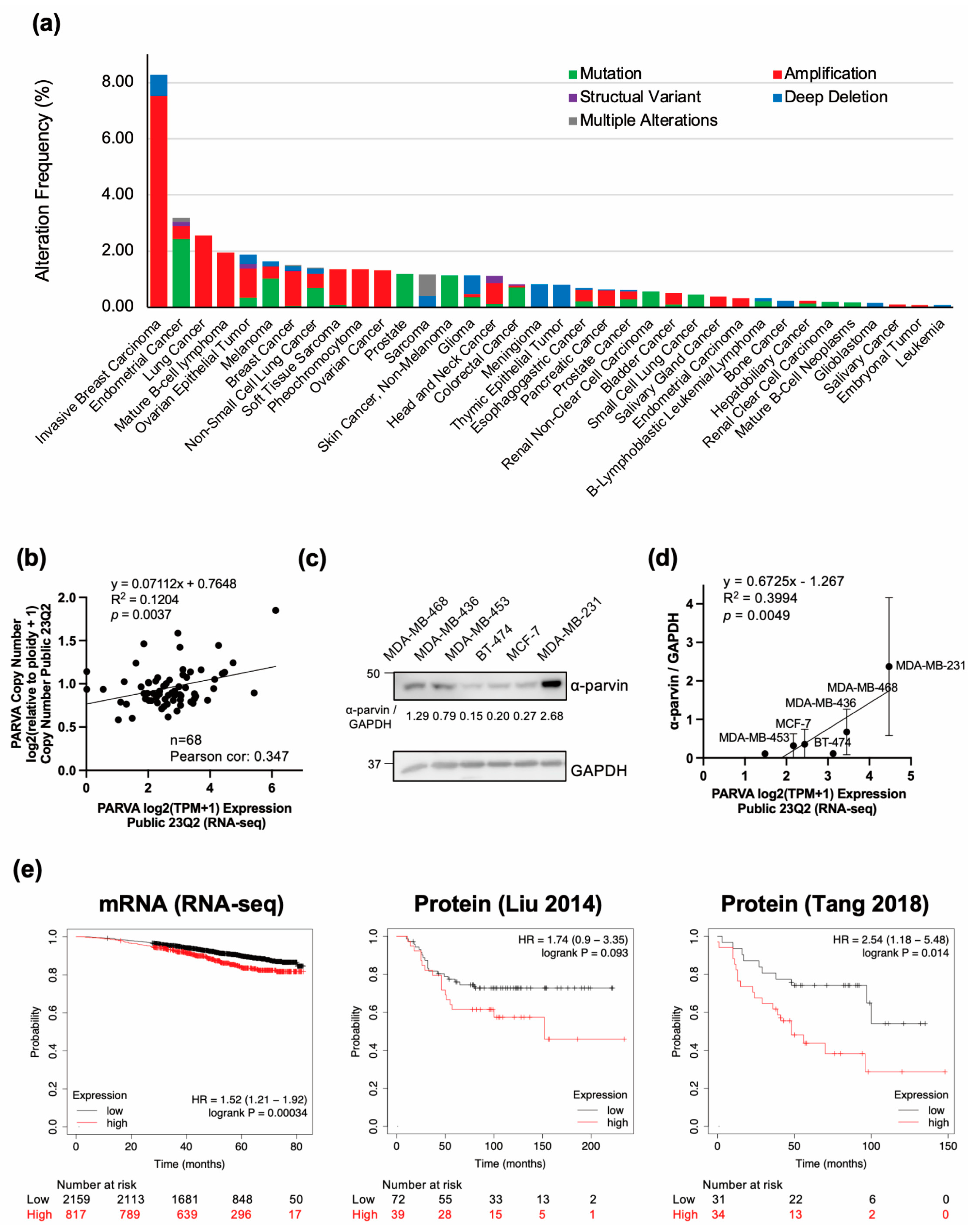 Cells 13 01572 g001 Cells 13 01572 g001