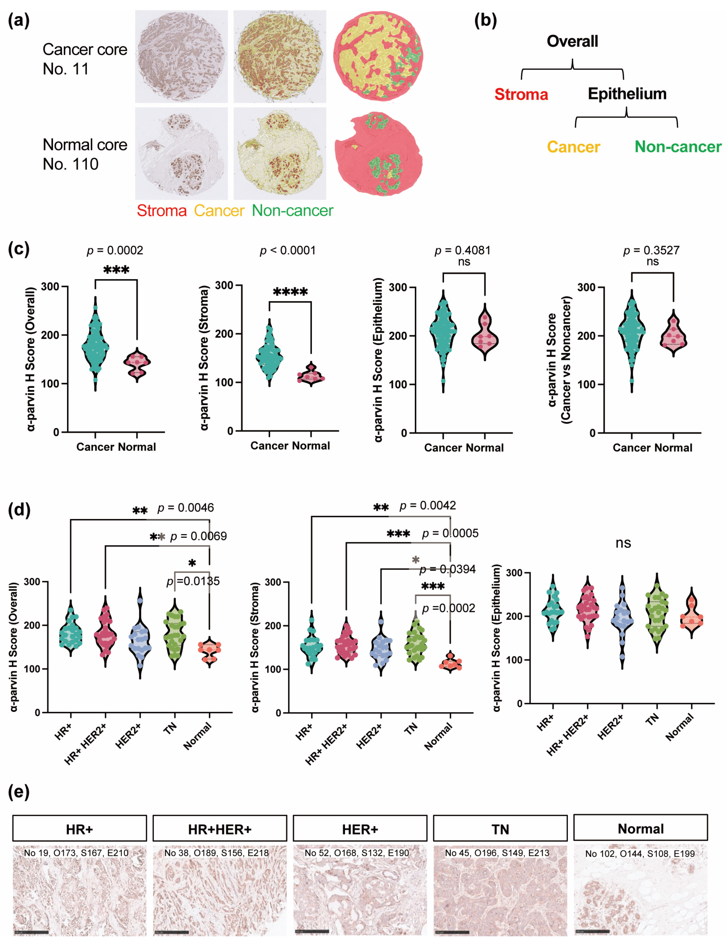Cells 13 01572 g003 Cells 13 01572 g003