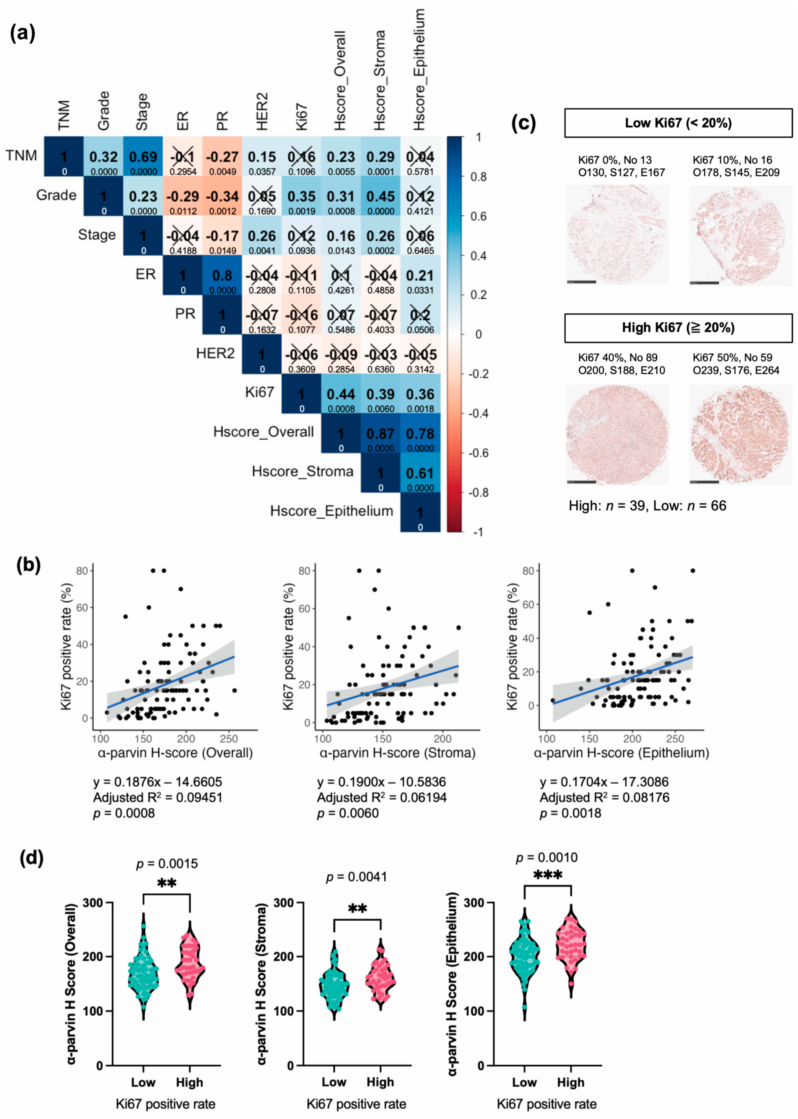 Cells 13 01572 g004 Cells 13 01572 g004
