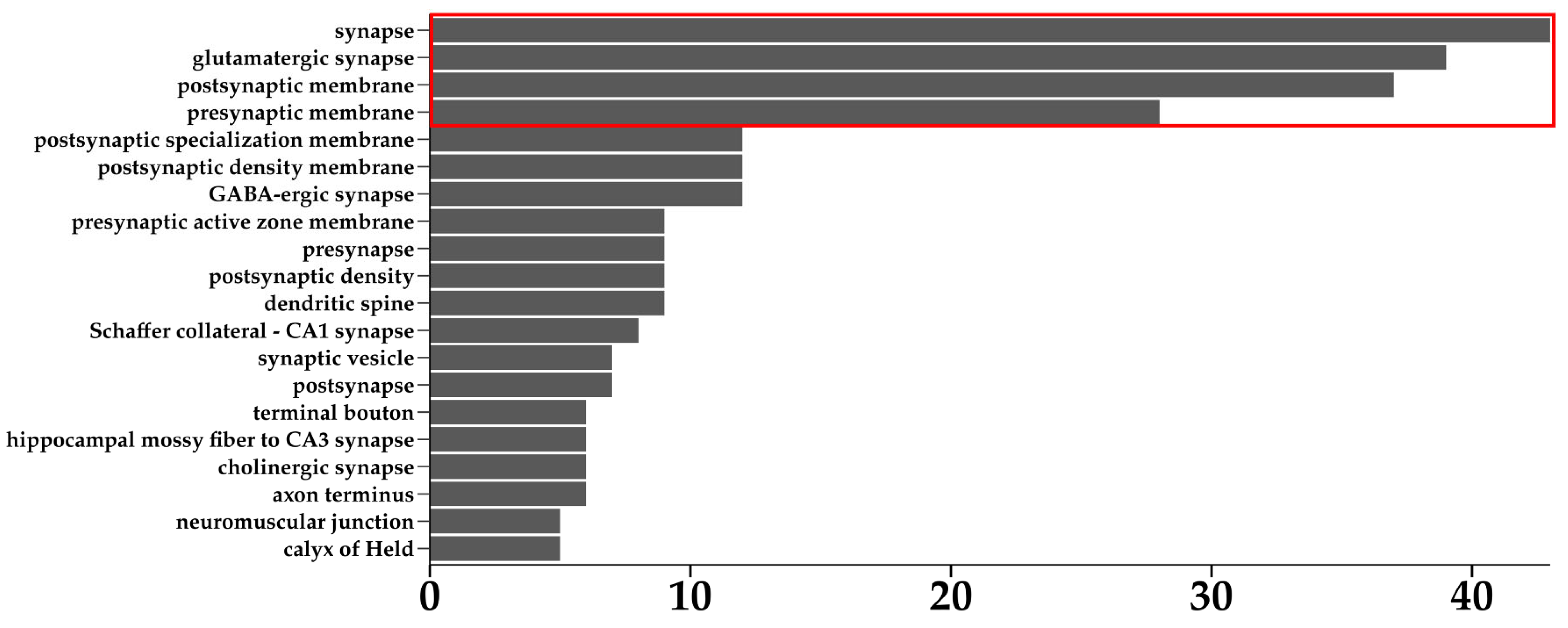 Cells 13 01573 g004 Cells 13 01573 g004