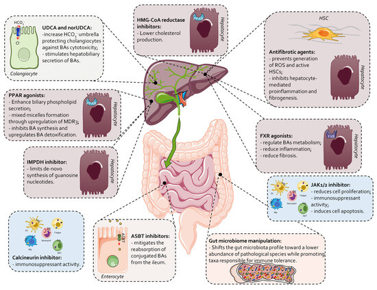 Current Landscape and Evolving Therapies for Primary Biliary Current Landscape and Evolving Therapies for Primary Biliary
