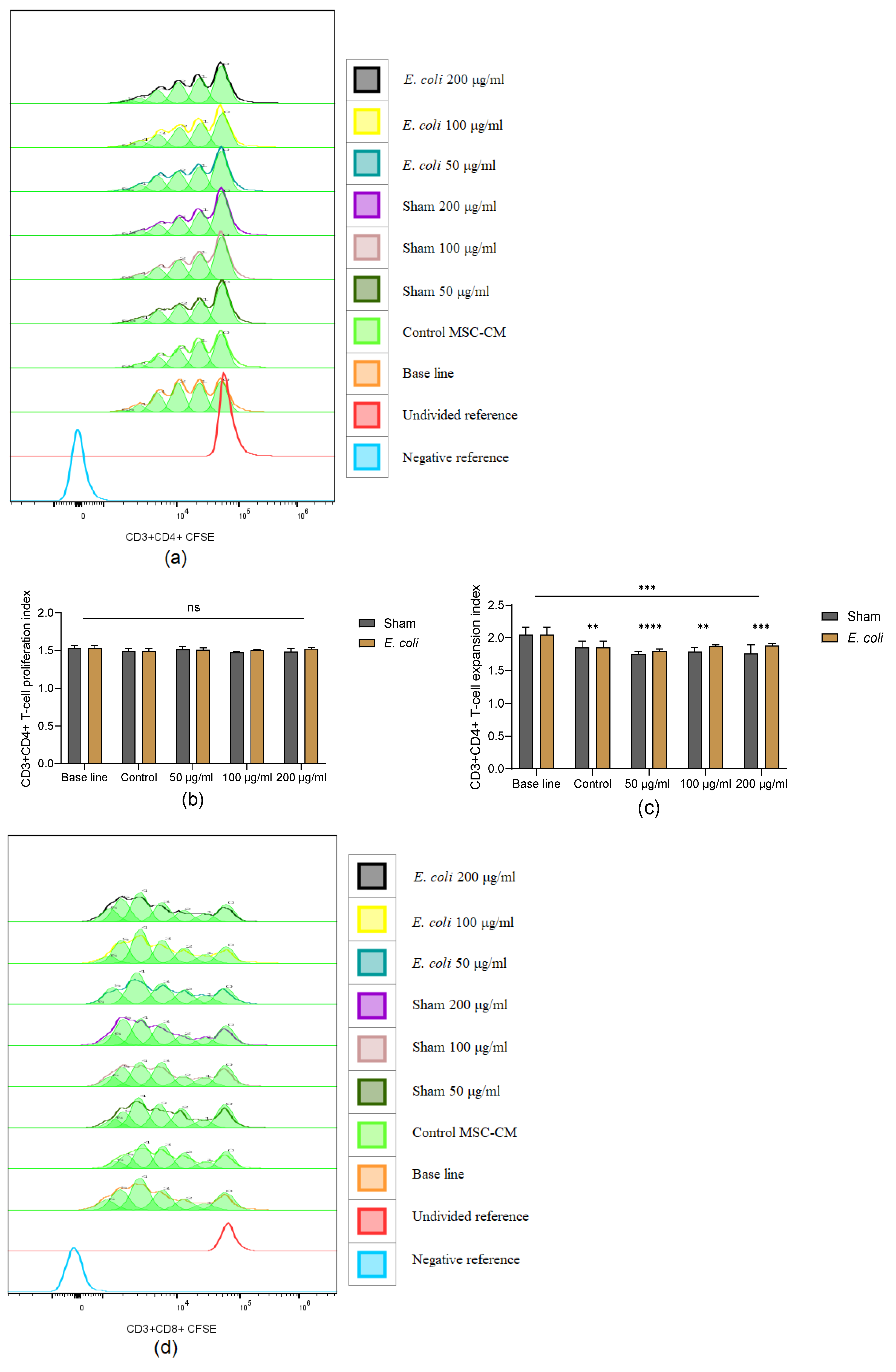 Cells 13 01581 g006a