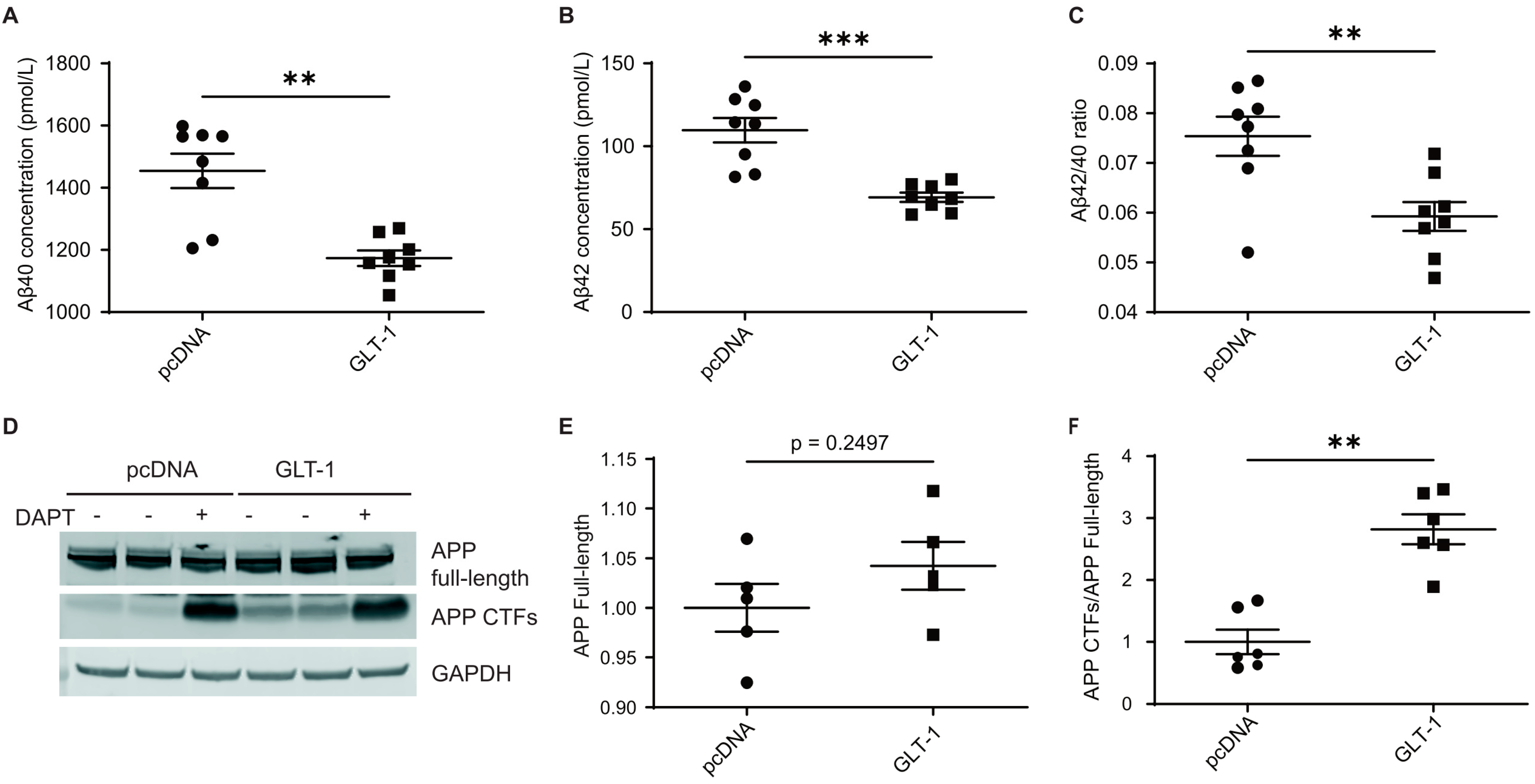 Cells 13 01600 g001 Cells 13 01600 g001