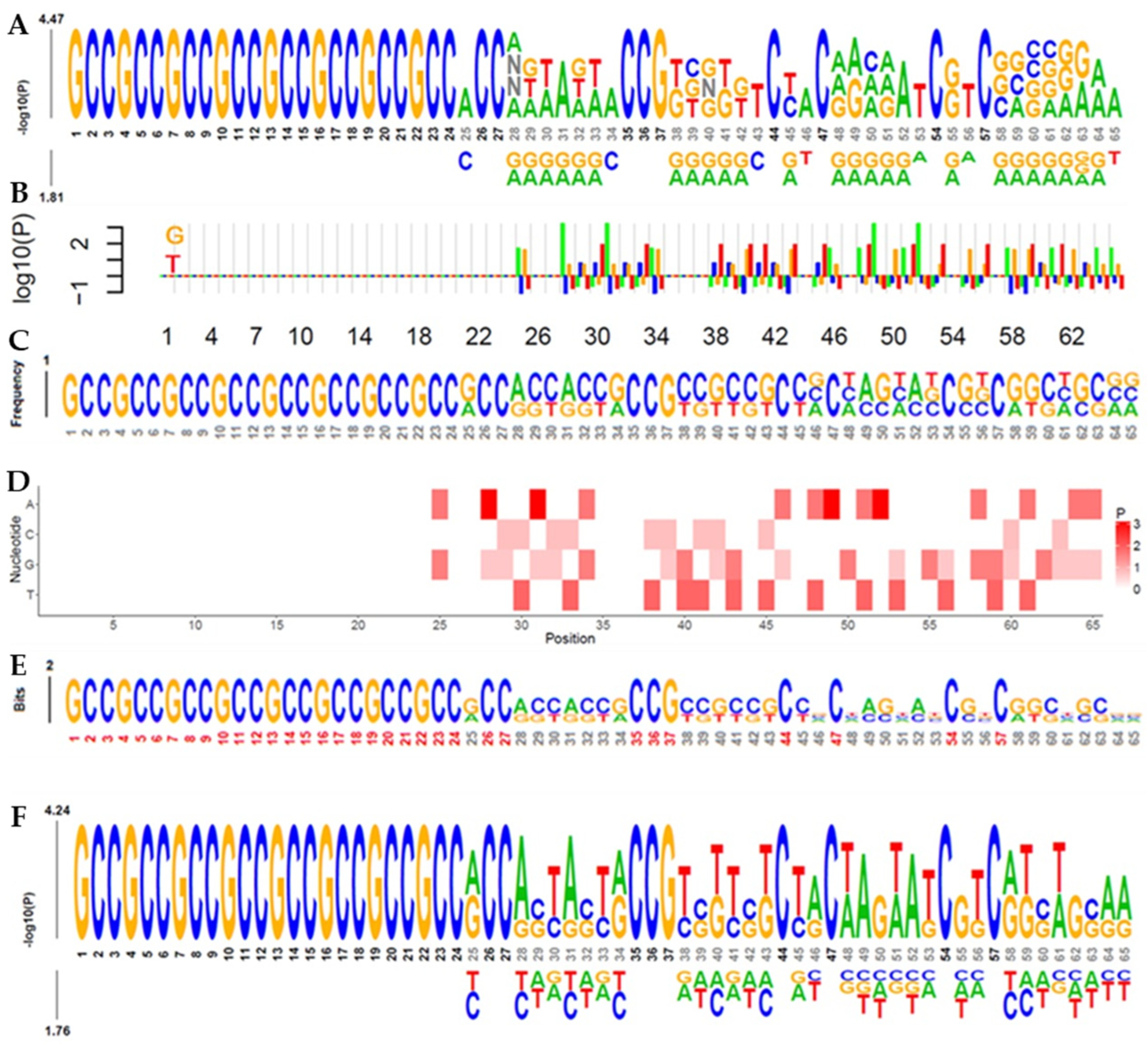 Cells 13 01601 g002 Cells 13 01601 g002