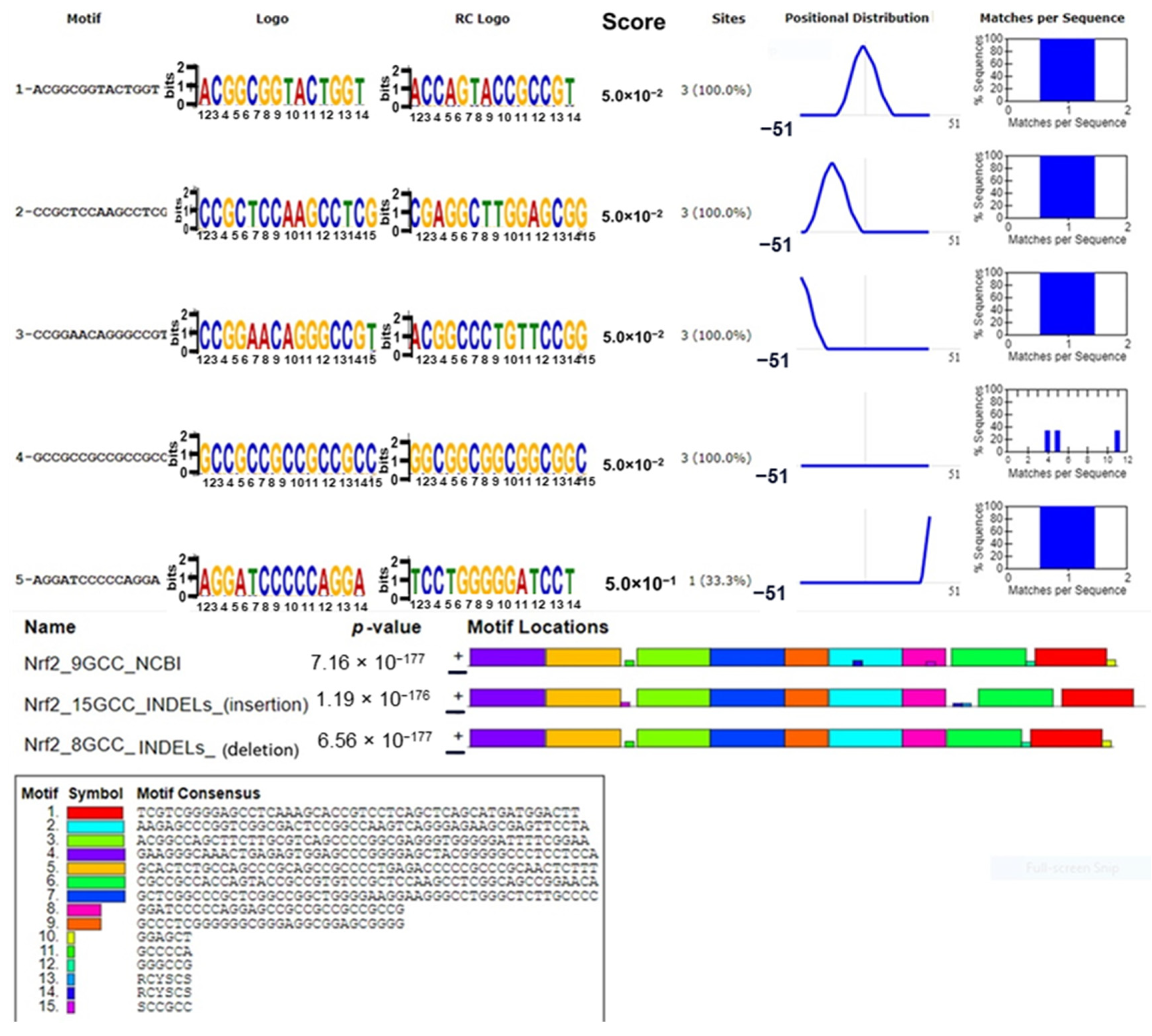 Cells 13 01601 g003 Cells 13 01601 g003