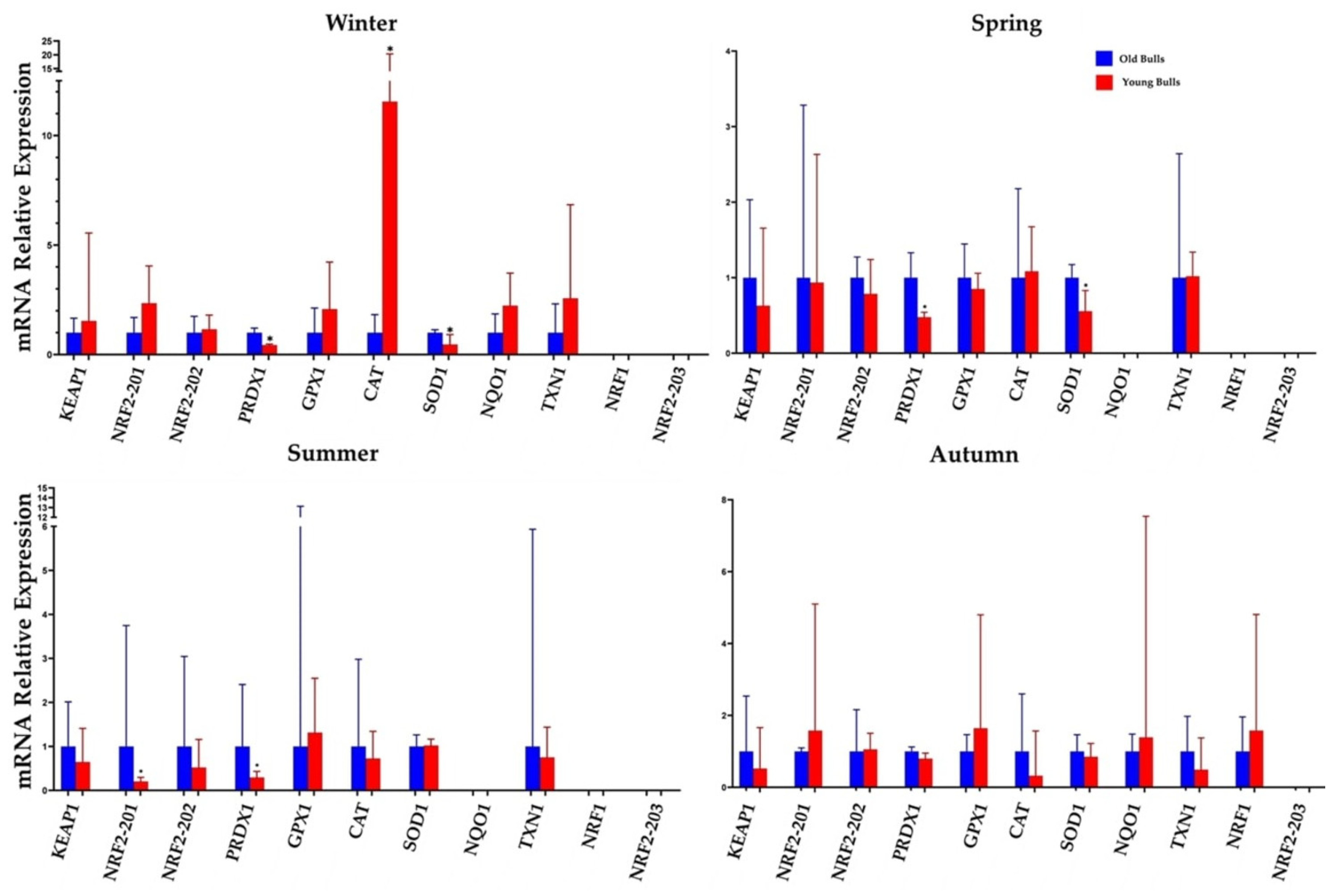 Cells 13 01601 g004 Cells 13 01601 g004