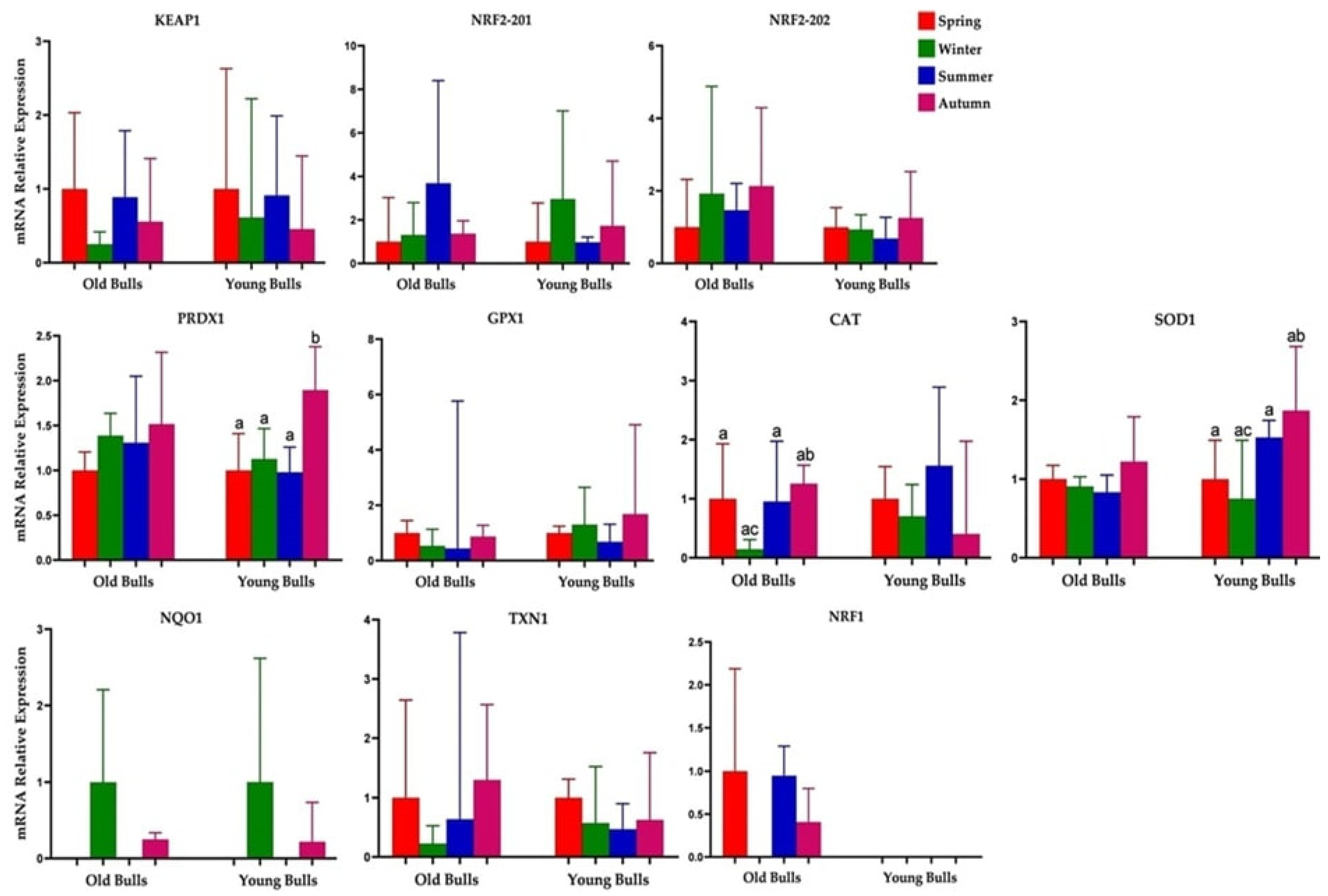 Cells 13 01601 g005 Cells 13 01601 g005