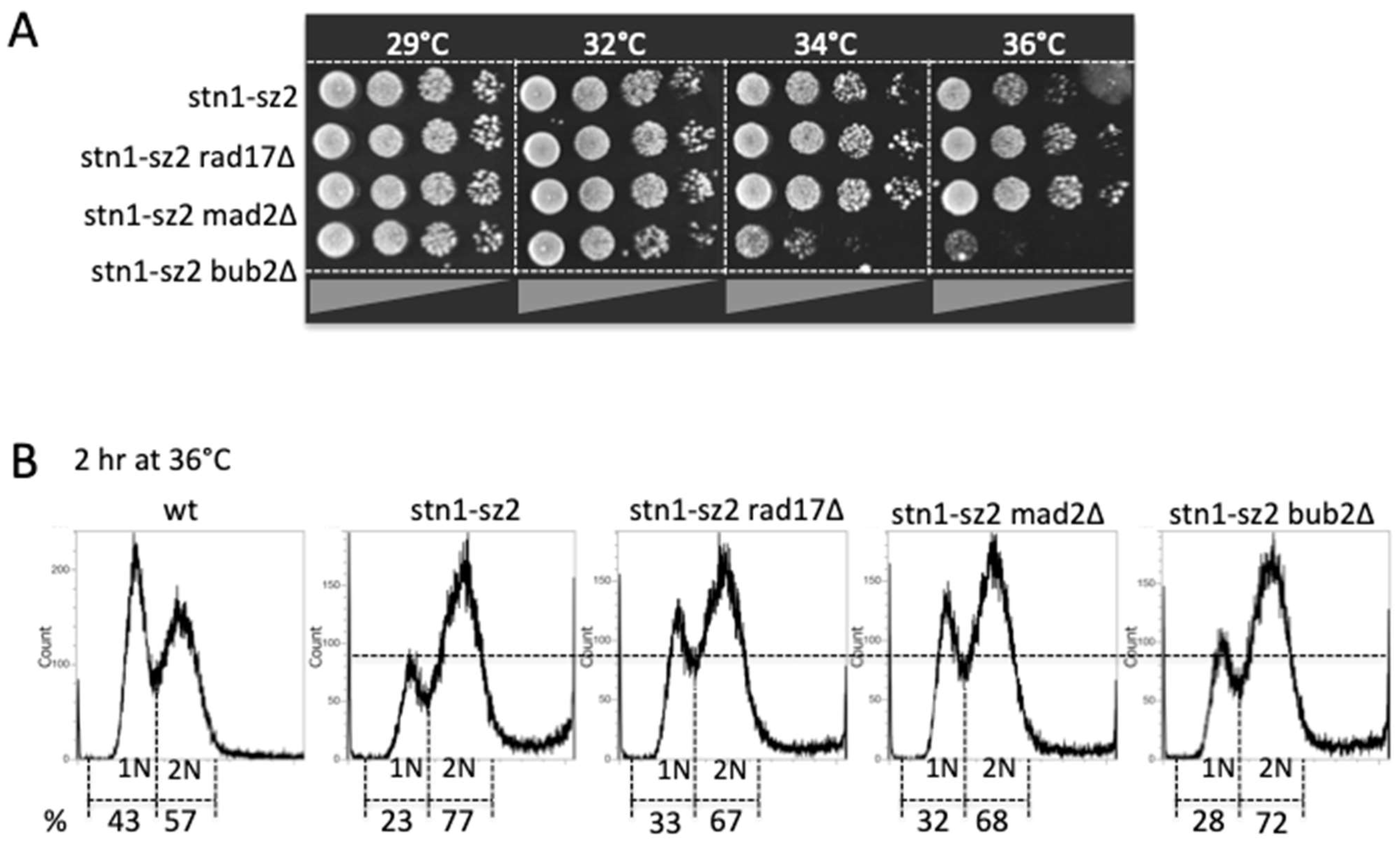 Cells 13 01605 g002 Cells 13 01605 g002