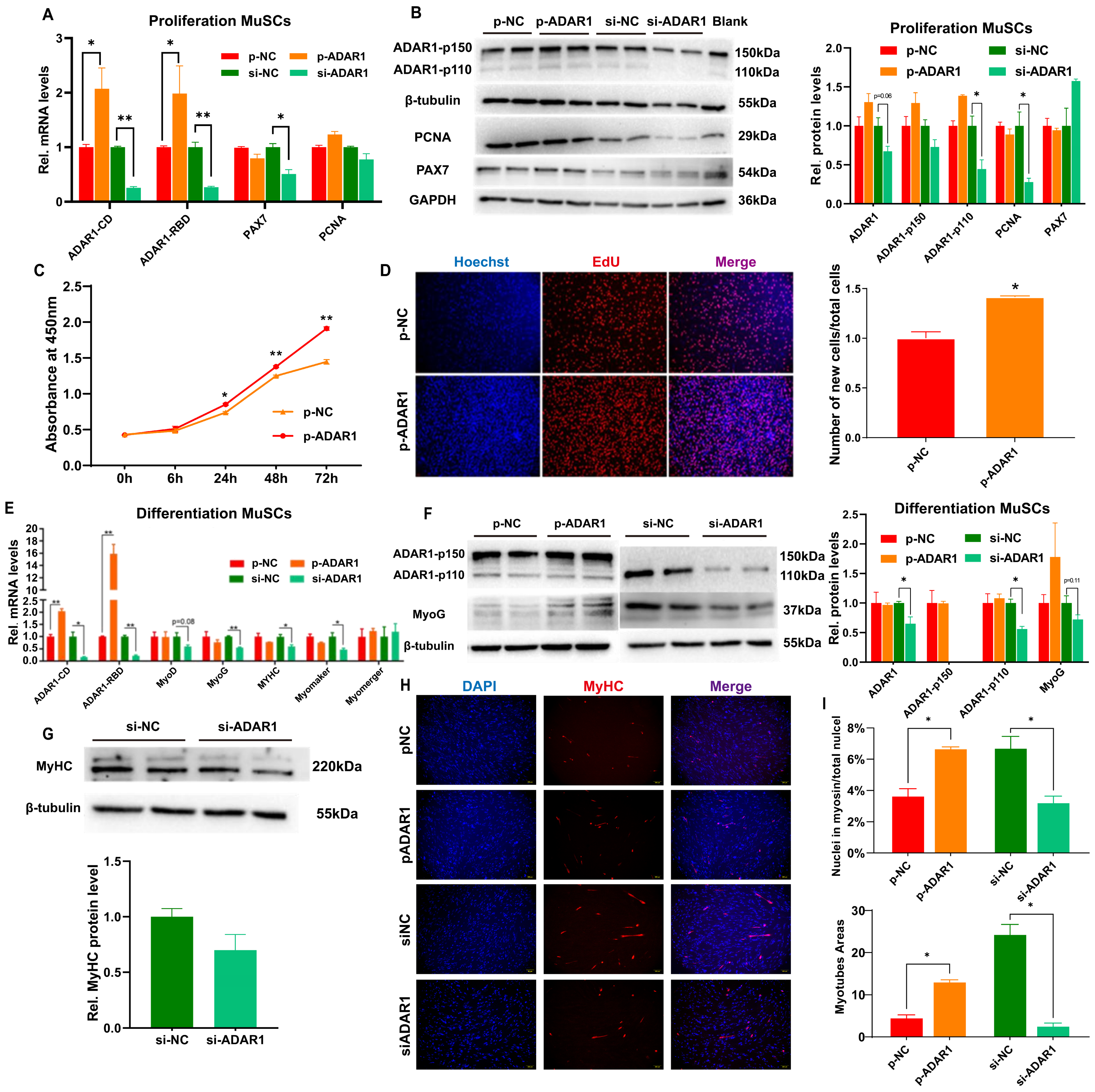 Cells 13 01607 g003