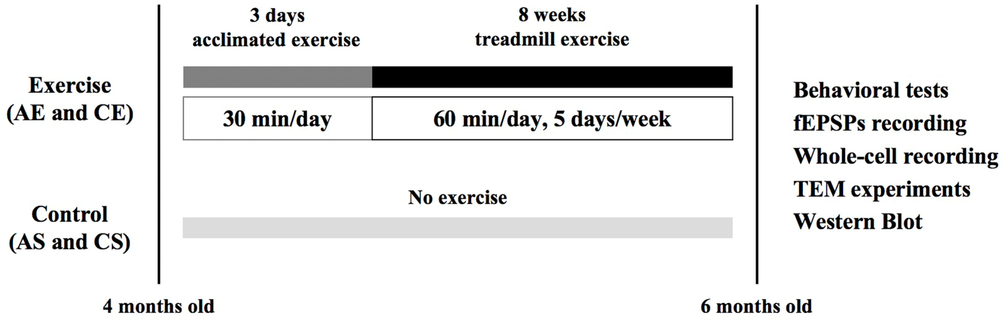 Cells 13 01608 g001 Cells 13 01608 g001