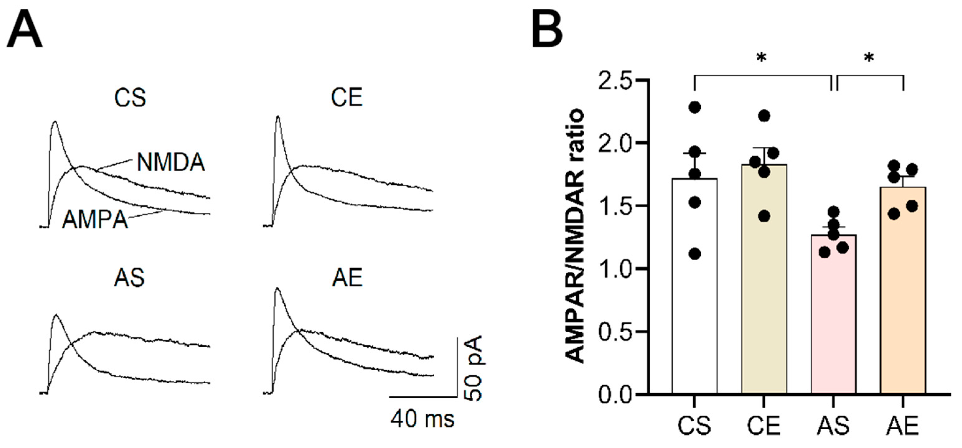 Cells 13 01608 g007 Cells 13 01608 g007
