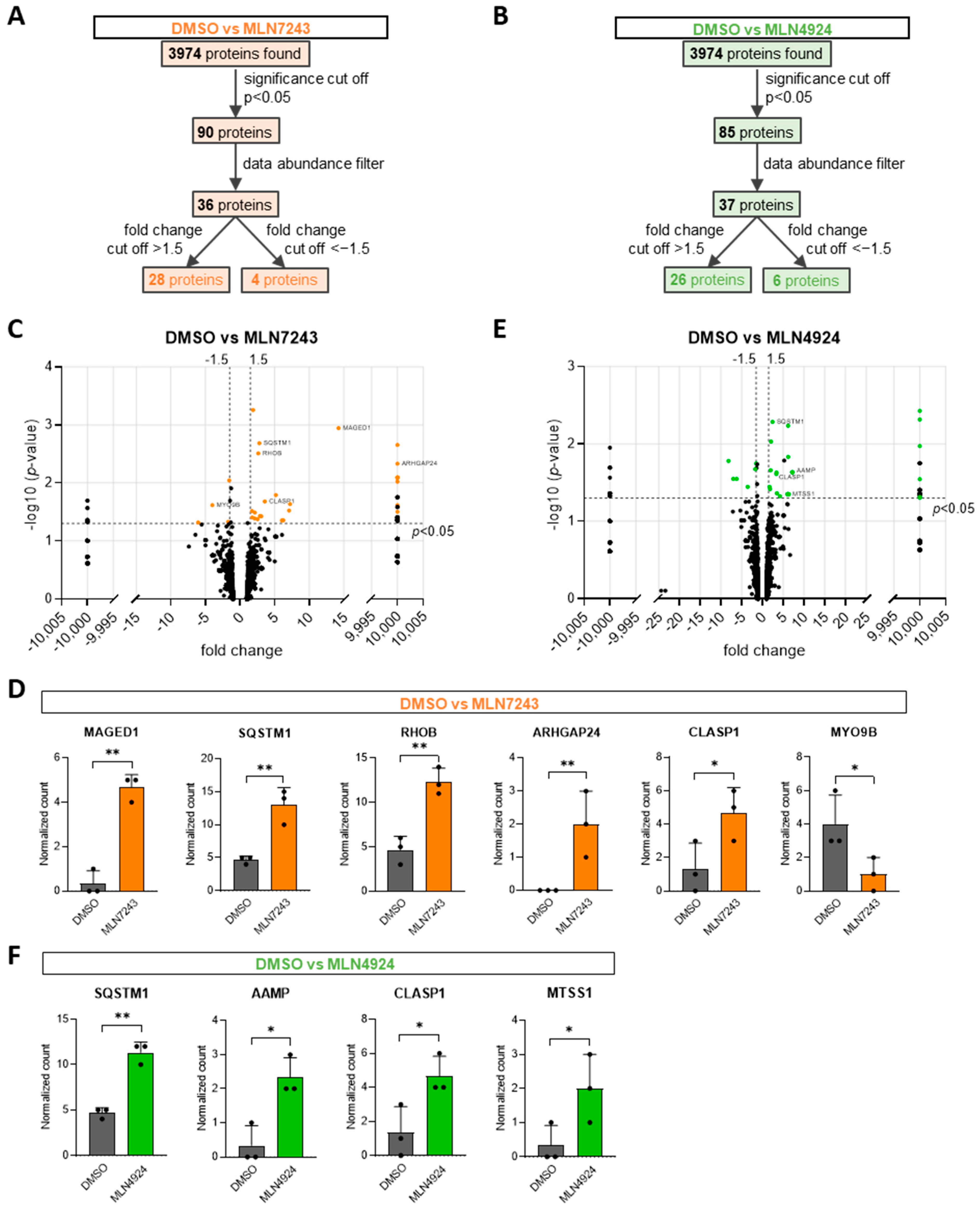 Cells 13 01609 g001 Cells 13 01609 g001
