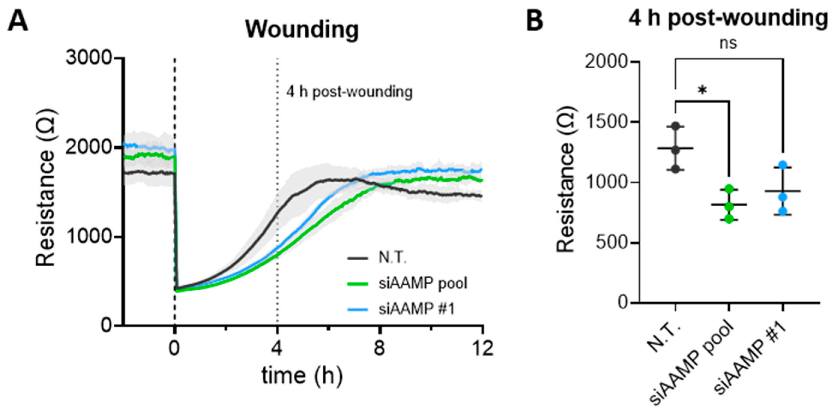 Cells 13 01609 g004 Cells 13 01609 g004